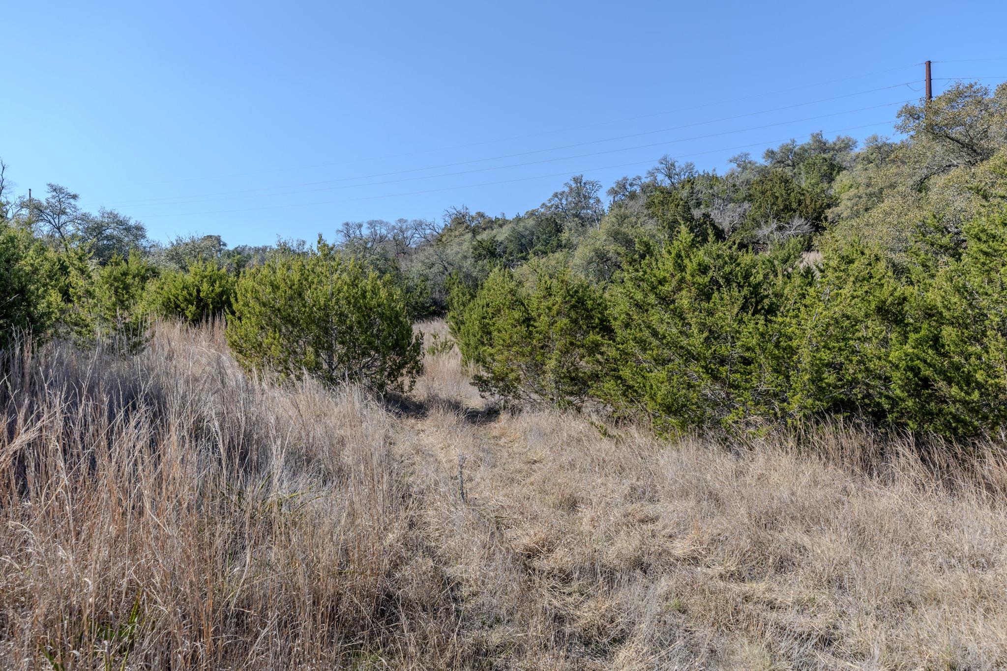 TBD Lot 5 Sanctuary Ln, Blanco, TX 78606