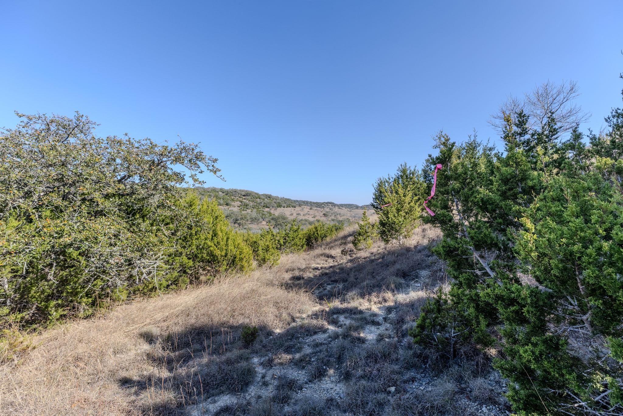TBD Lot 5 Sanctuary Ln, Blanco, TX 78606
