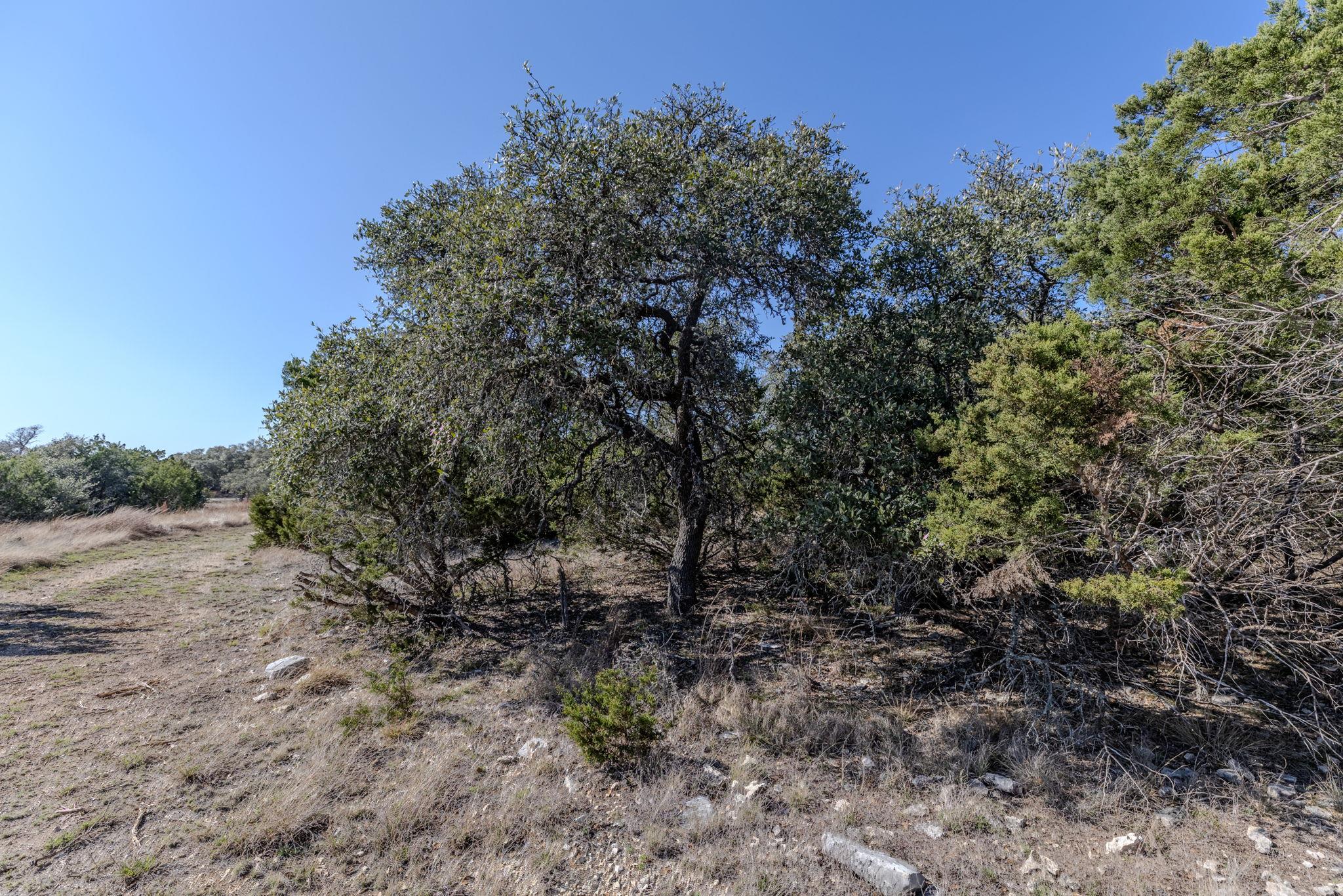 TBD Lot 5 Sanctuary Ln, Blanco, TX 78606