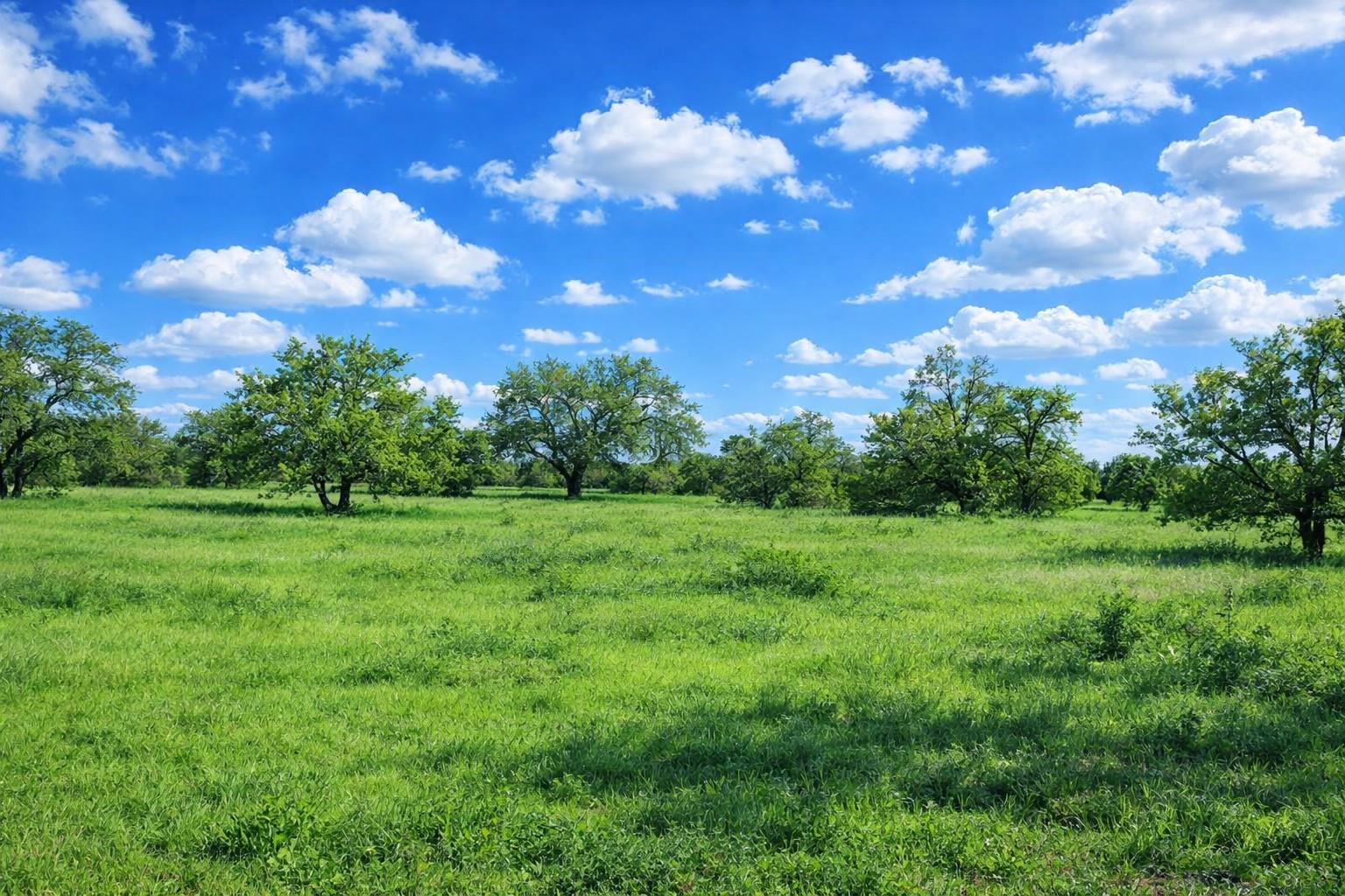 3809 Mormon Mill Rd, Marble Falls, TX 78654