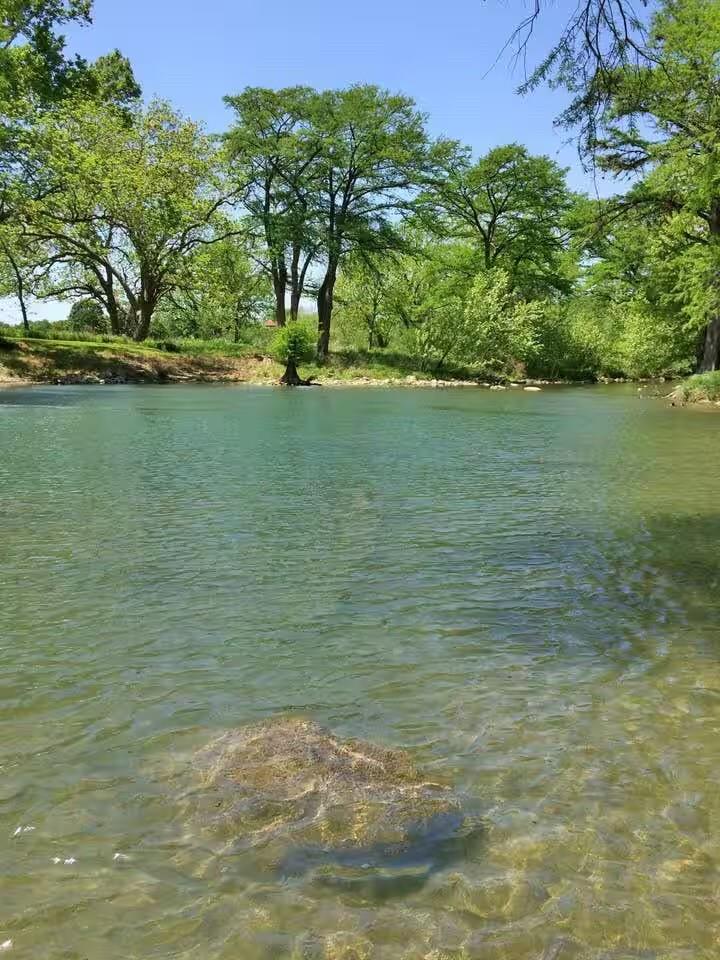 730 E Mather St # J202, New Braunfels, TX 78130