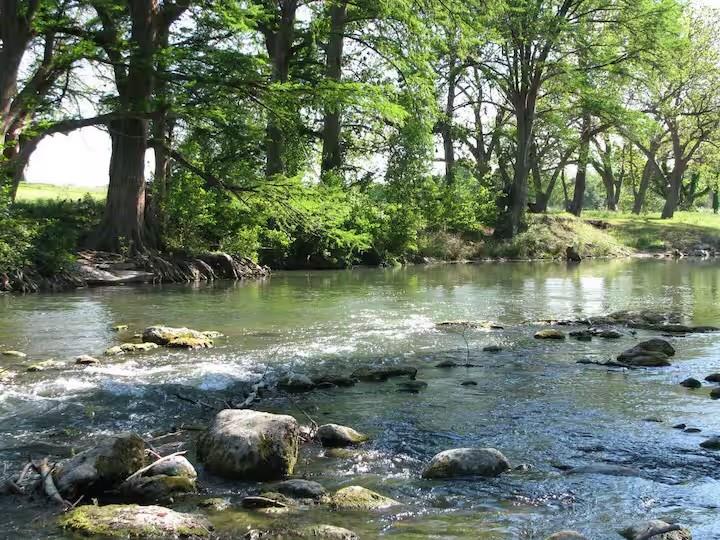 730 E Mather St # J202, New Braunfels, TX 78130