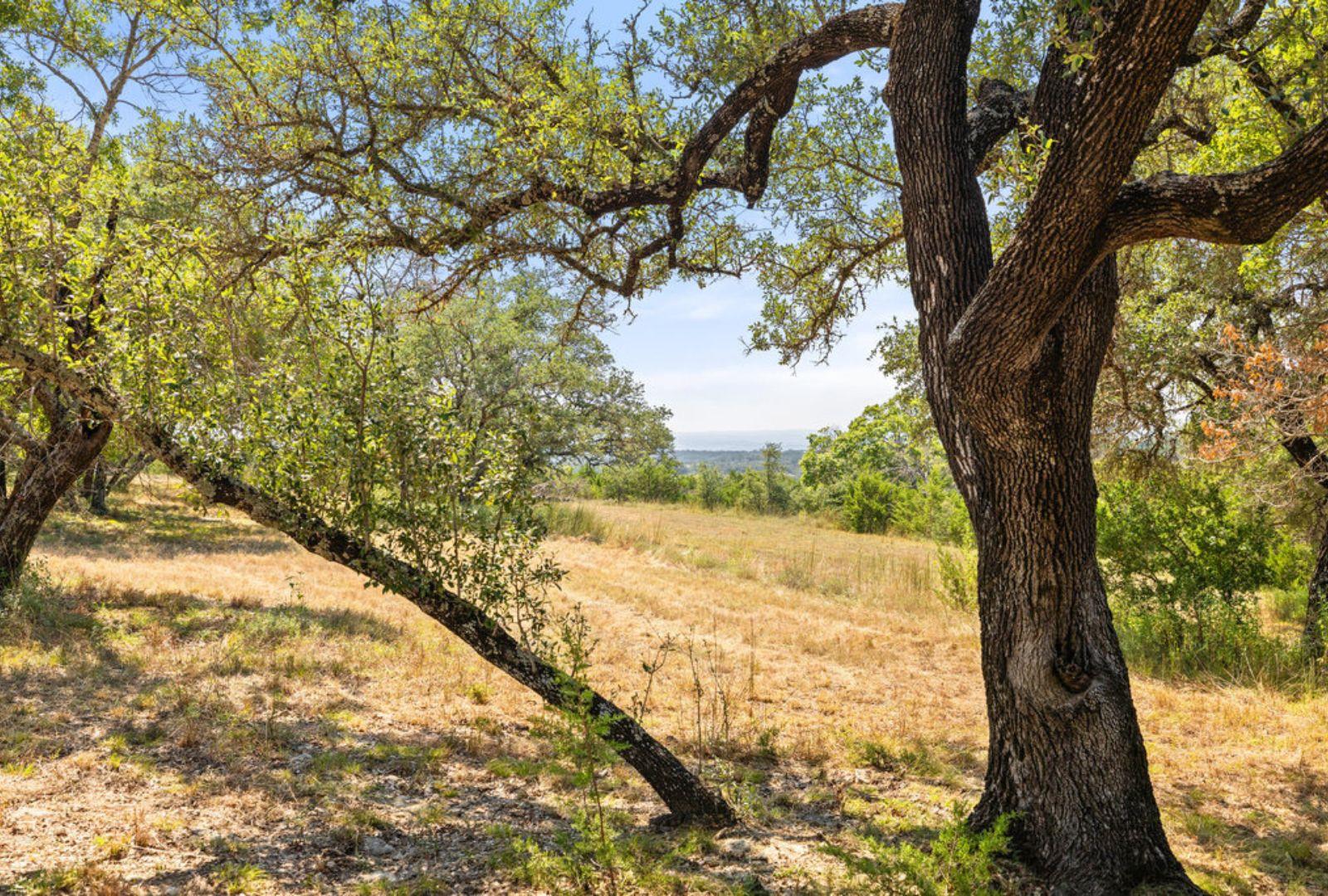 Marble Falls, TX 78654