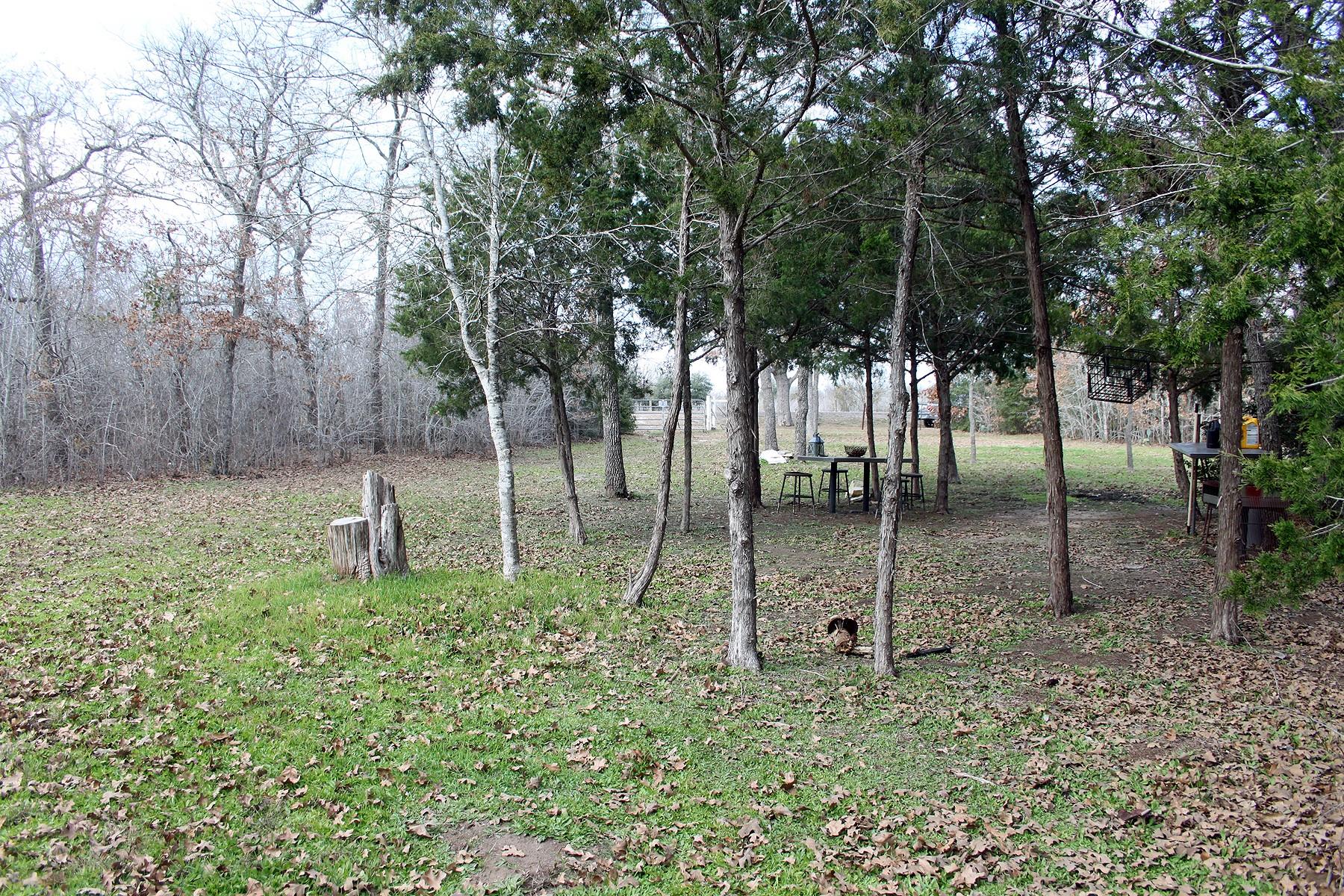 8729 E Fm 20 Highway, Dale, TX 78616