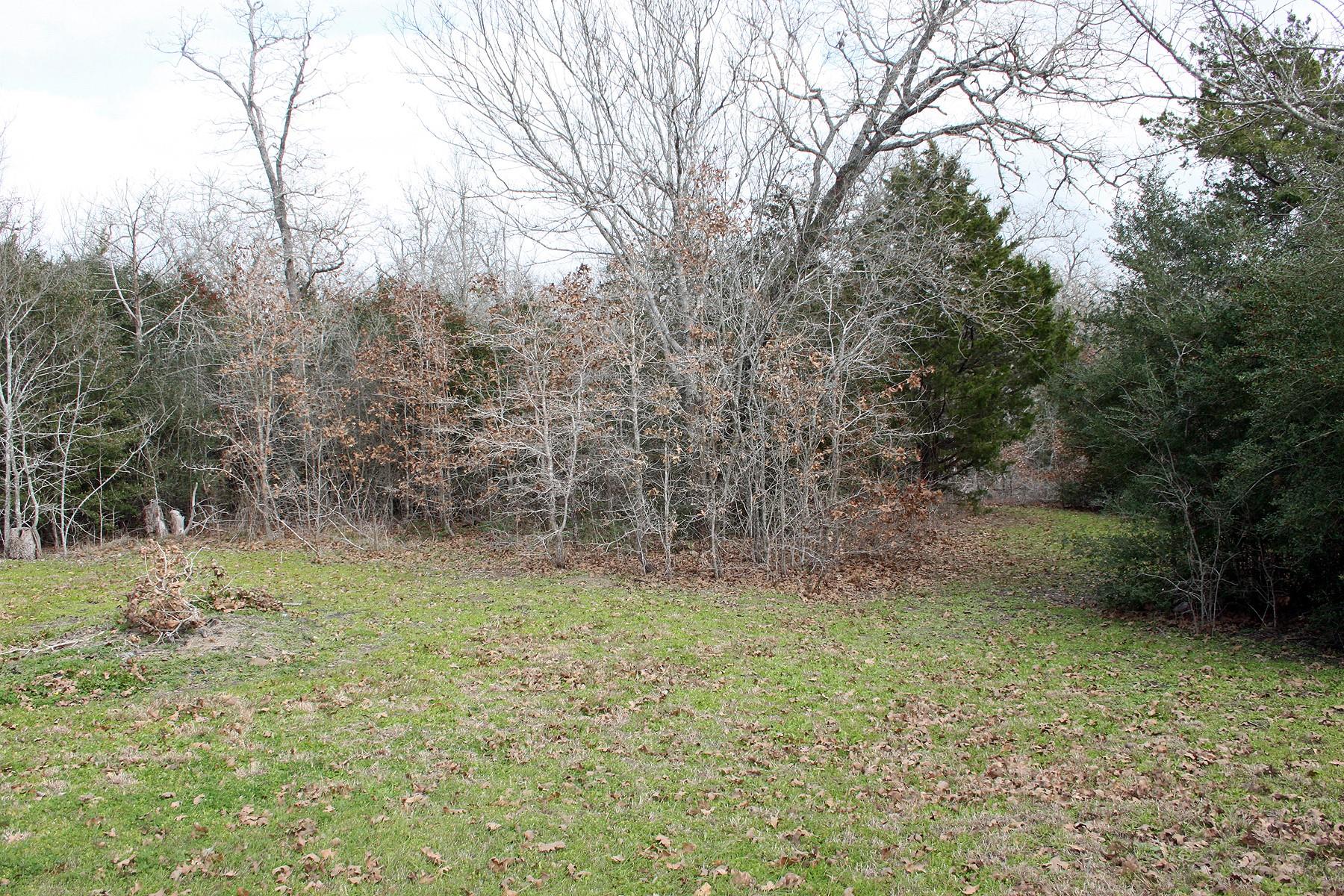 8729 E Fm 20 Highway, Dale, TX 78616