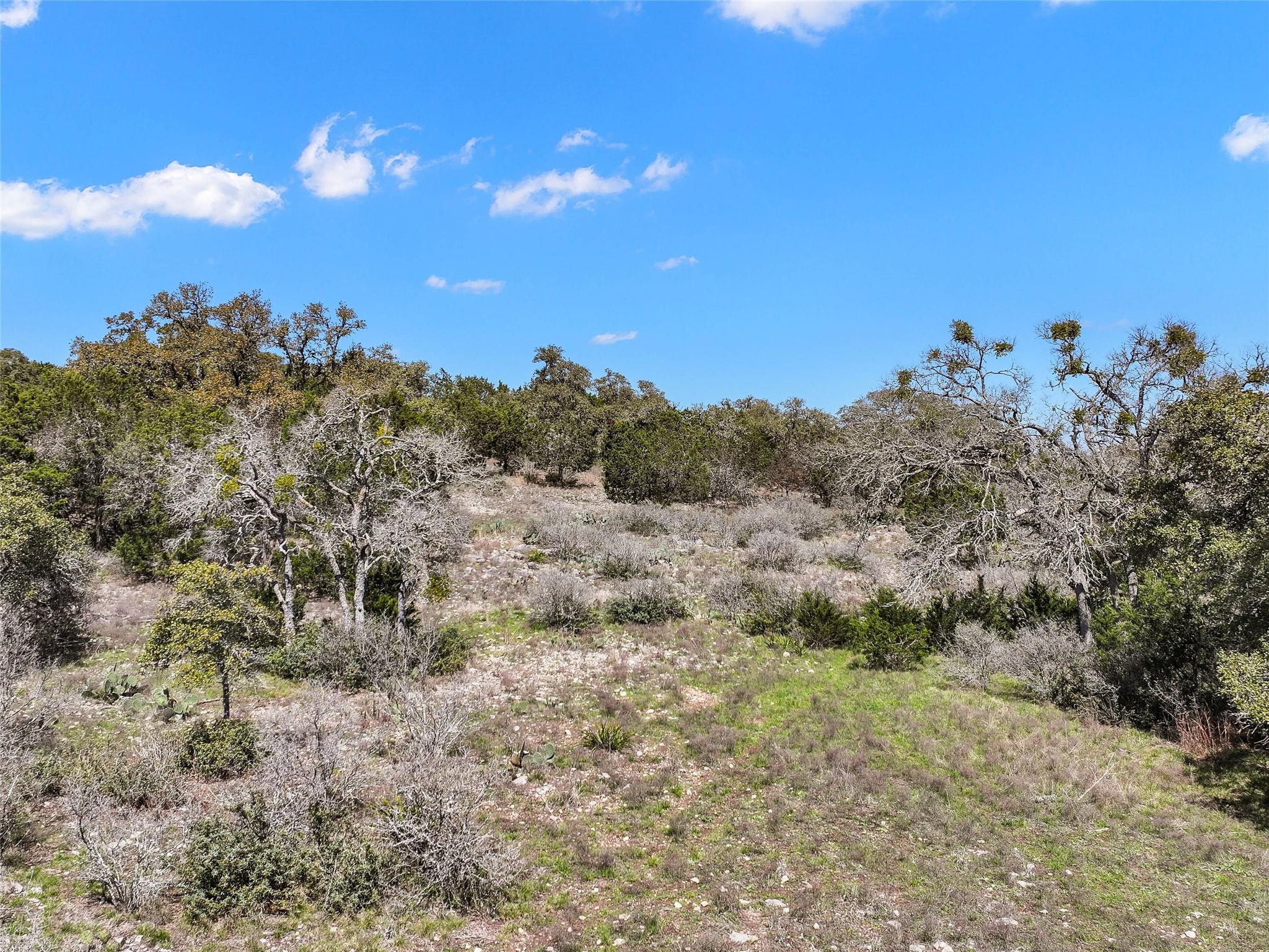 198 Lily St, Spring Branch, TX 78070