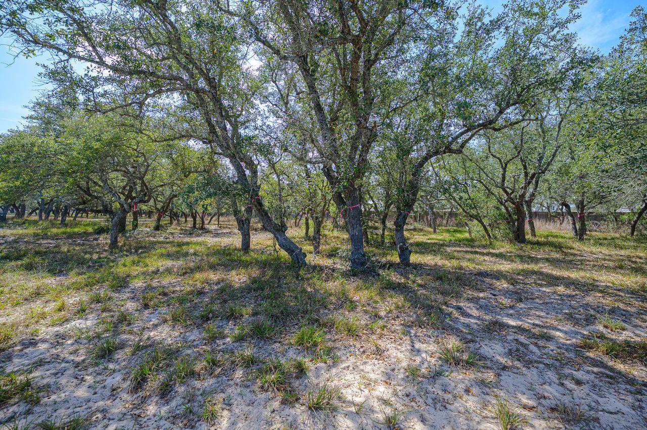 417 Olympic Dr, Rockport, TX 78382