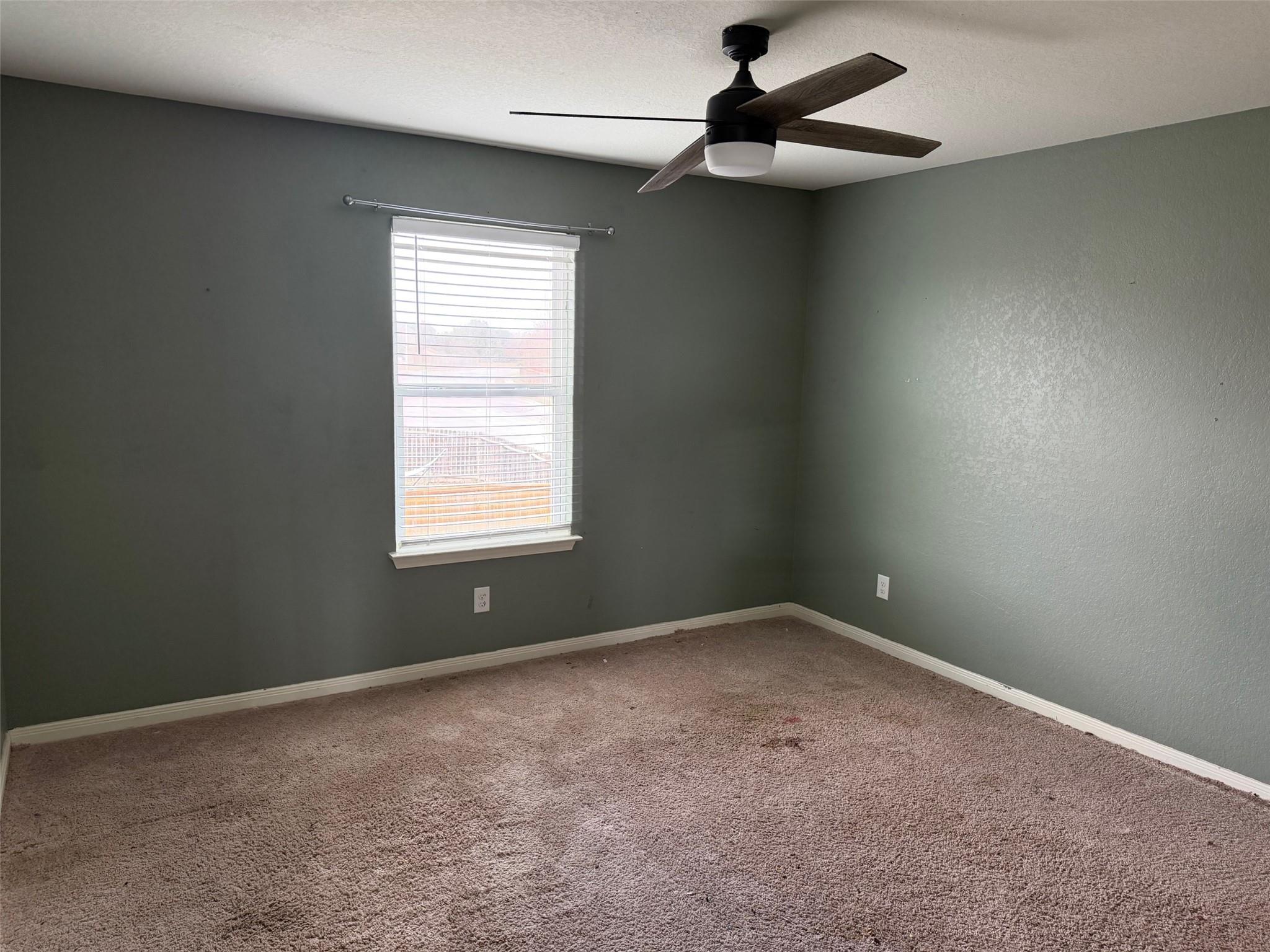 6310 Daisy Way, New Braunfels, TX 78132