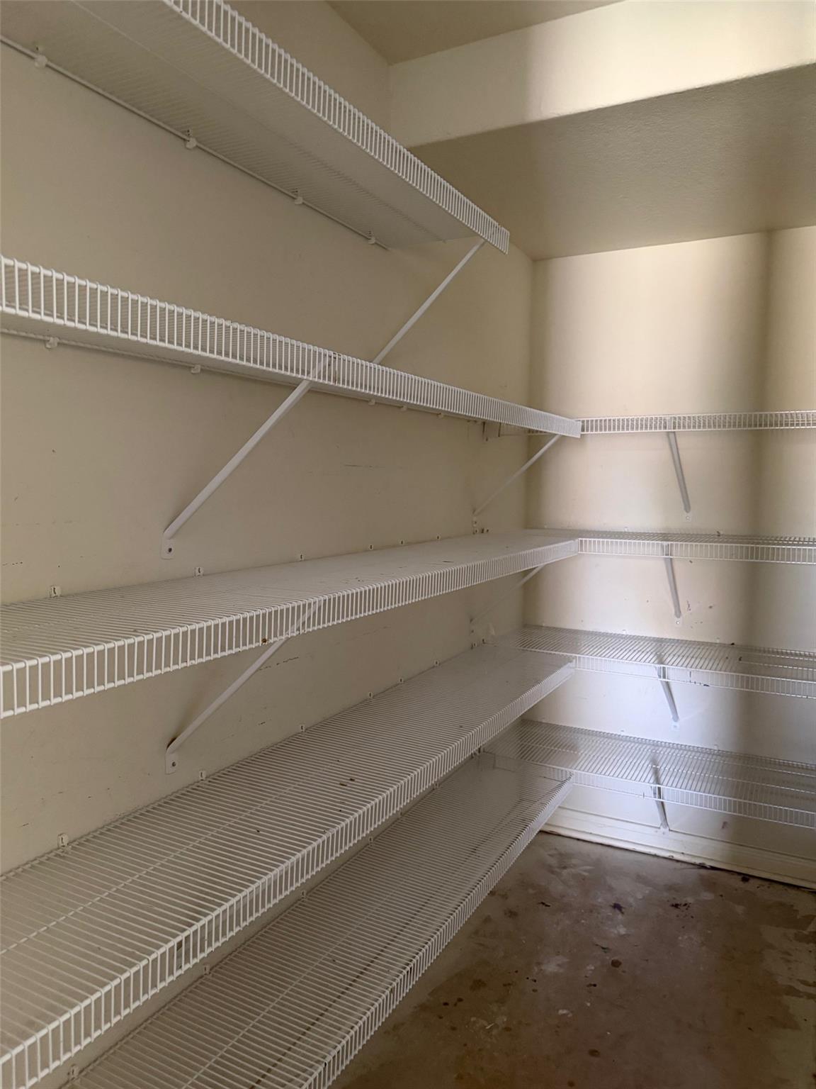 6310 Daisy Way, New Braunfels, TX 78132