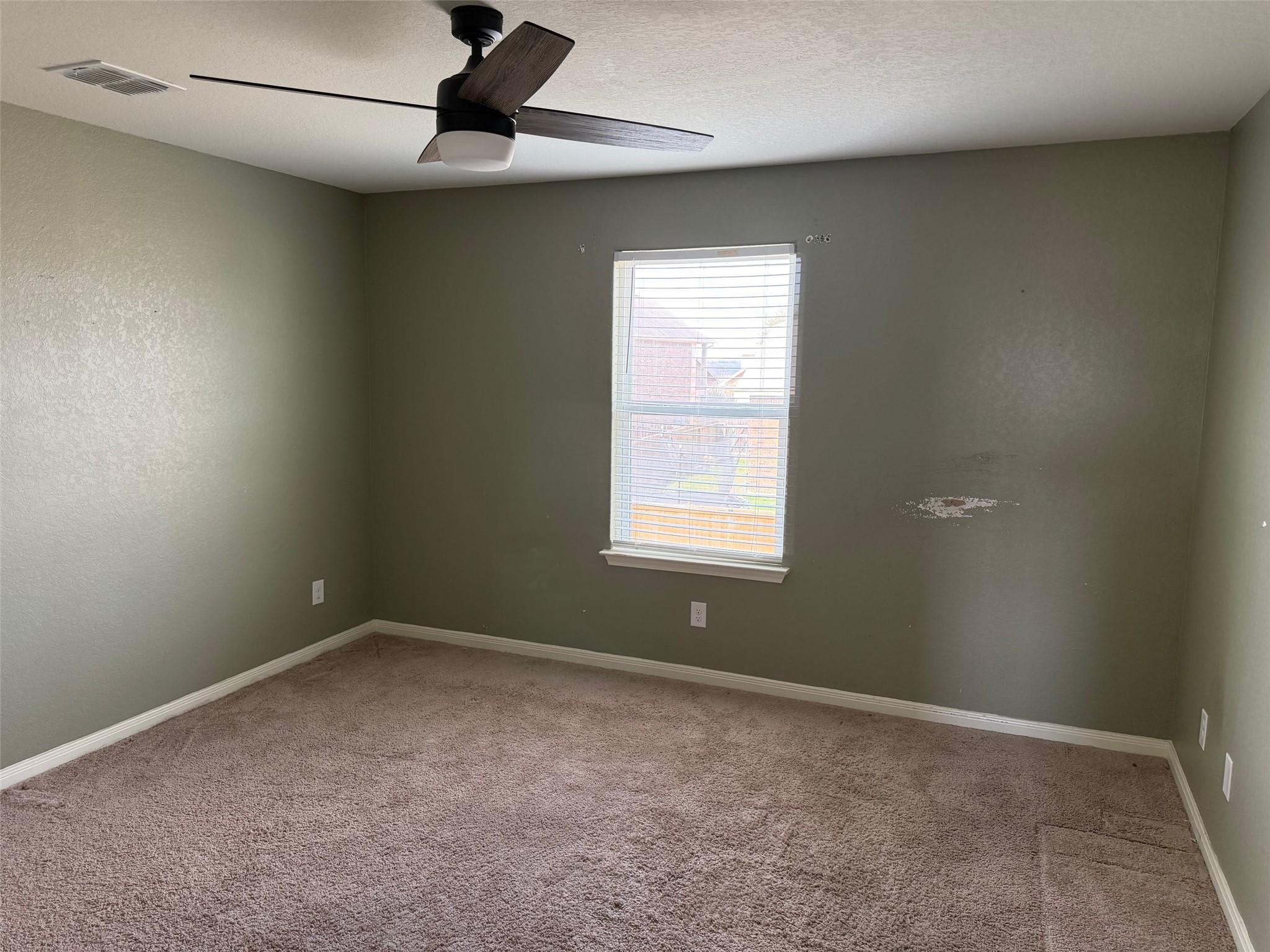 6310 Daisy Way, New Braunfels, TX 78132