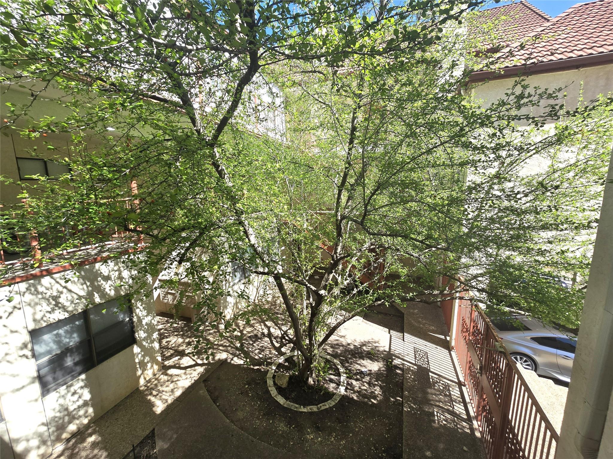 706 W 22nd St # 307, Austin, TX 78705