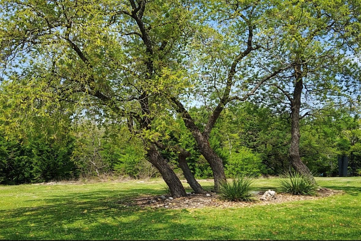 1300 Deering Creek Dr, Leander, TX 78641