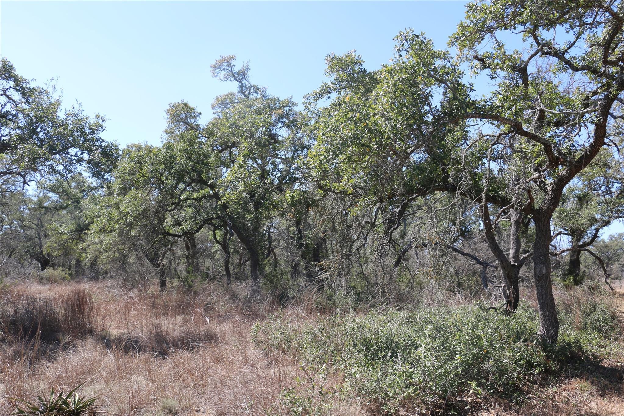 5688 Fm 2325, Wimberley, TX 78676