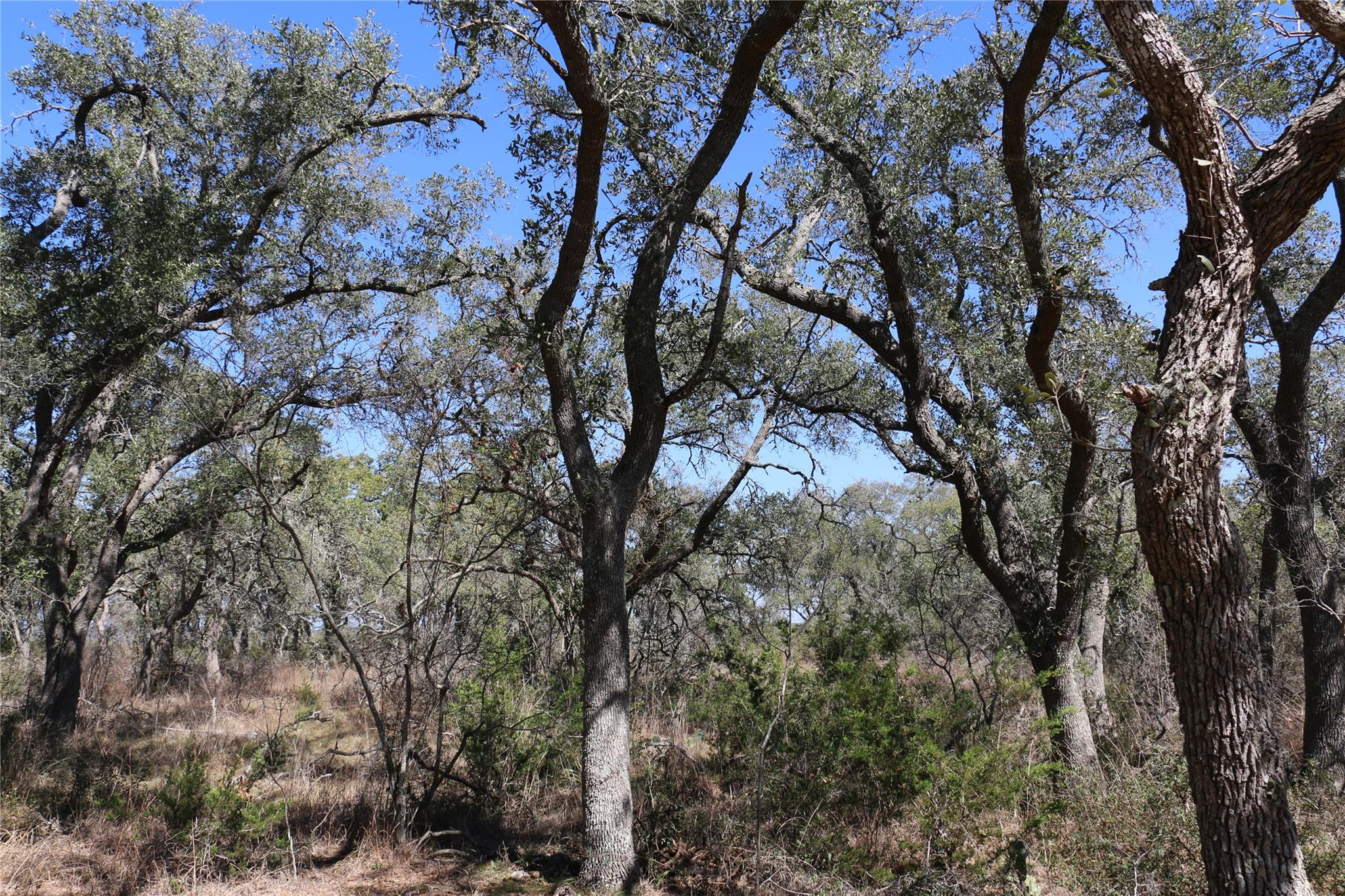 5688 Fm 2325, Wimberley, TX 78676