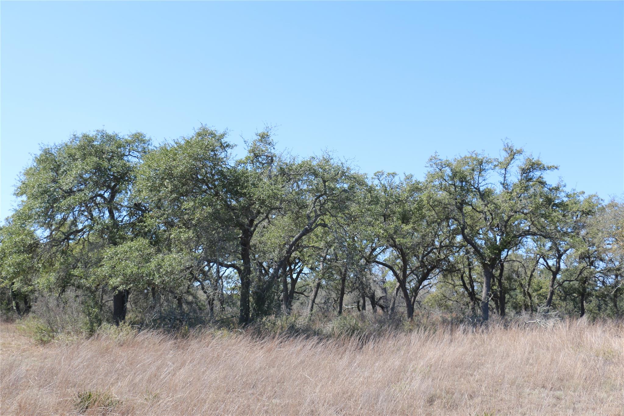 5688 Fm 2325, Wimberley, TX 78676