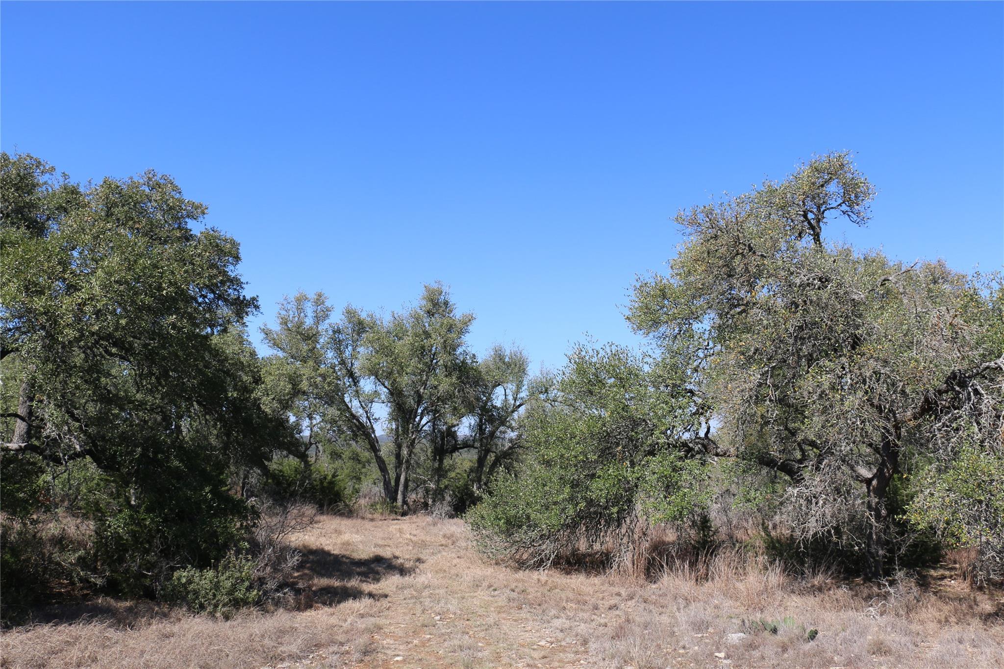 5688 Fm 2325, Wimberley, TX 78676