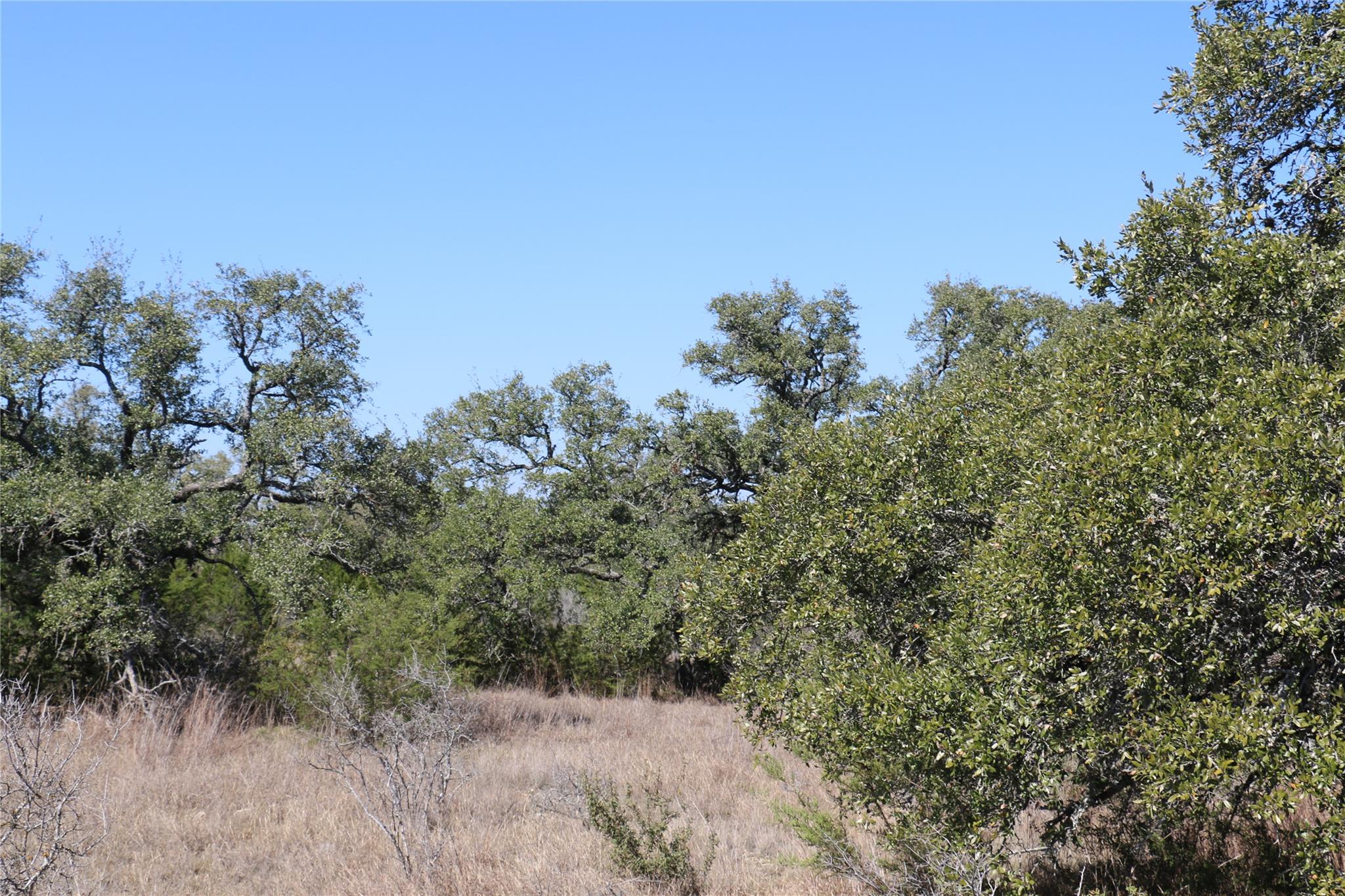 5688 Fm 2325, Wimberley, TX 78676