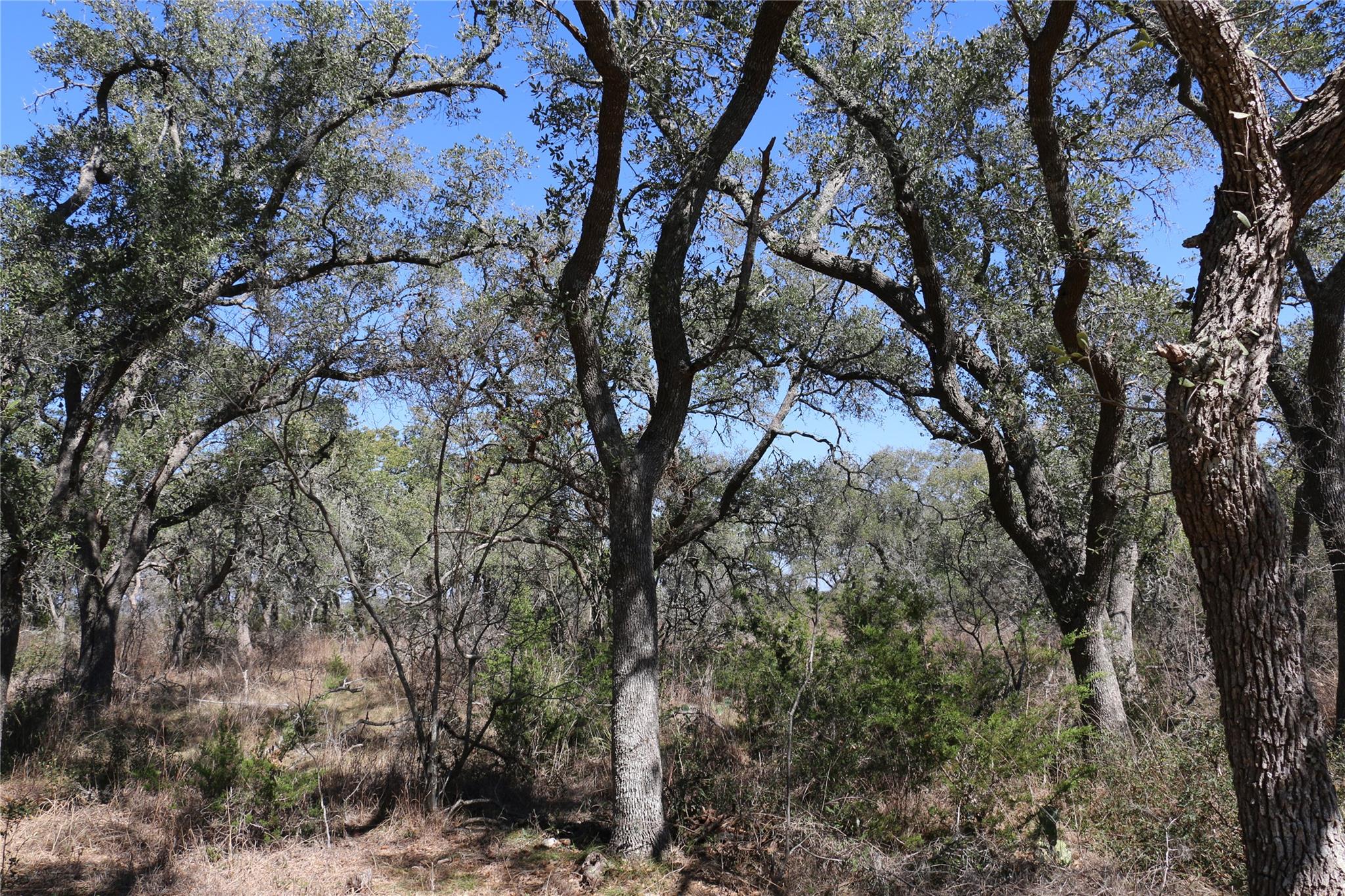 5688 Fm 2325, Wimberley, TX 78676