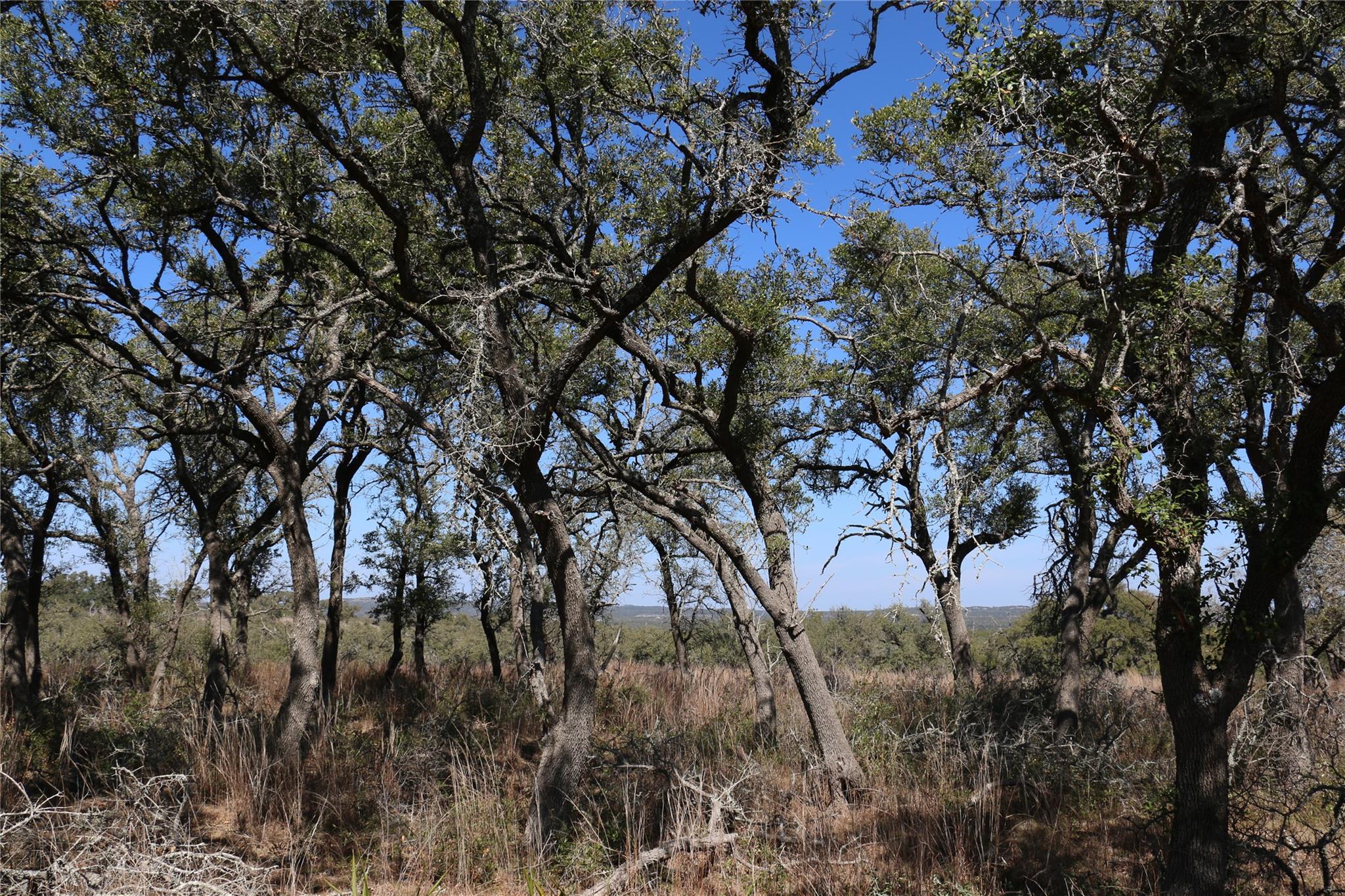 5688 Fm 2325, Wimberley, TX 78676