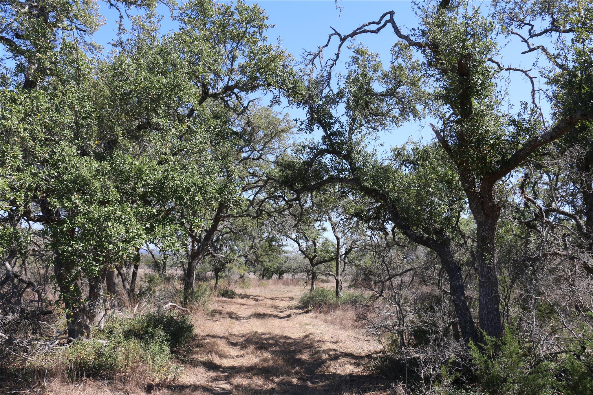 5688 Fm 2325, Wimberley, TX 78676