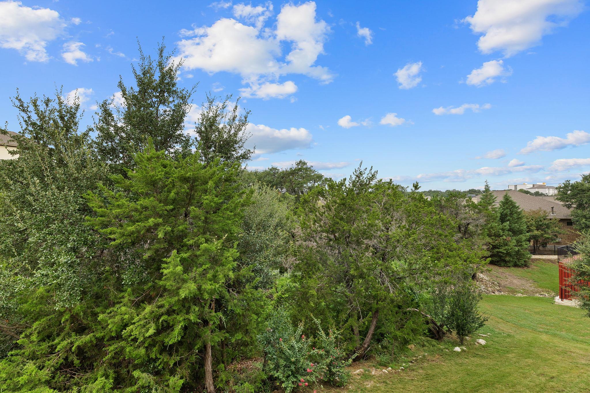 615 Glacial Stream Ln, Cedar Park, TX 78613