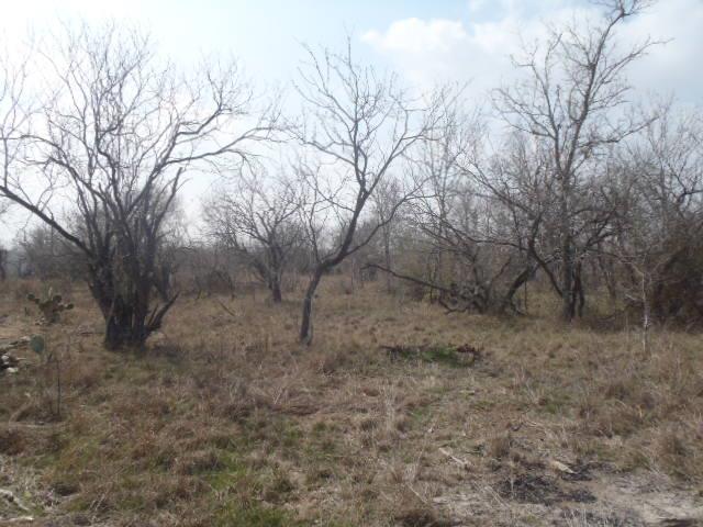 1580 Pooley Rd, Kingsbury, TX 78638