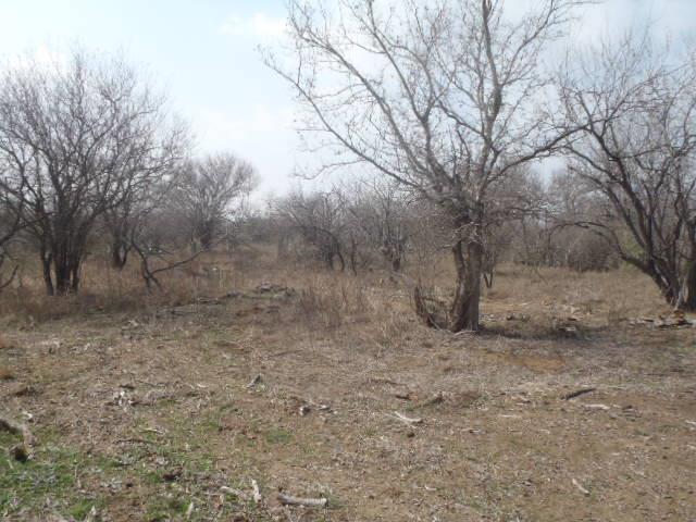 1580 Pooley Rd, Kingsbury, TX 78638