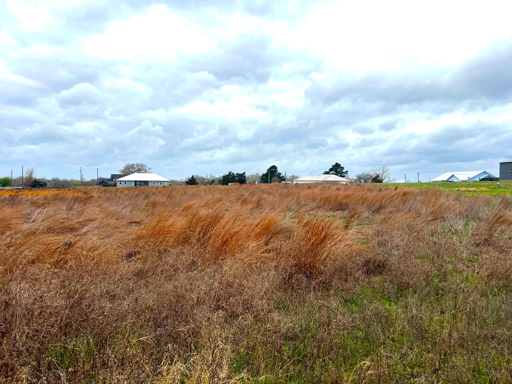 TBD Brenham St, McDade, TX 78650