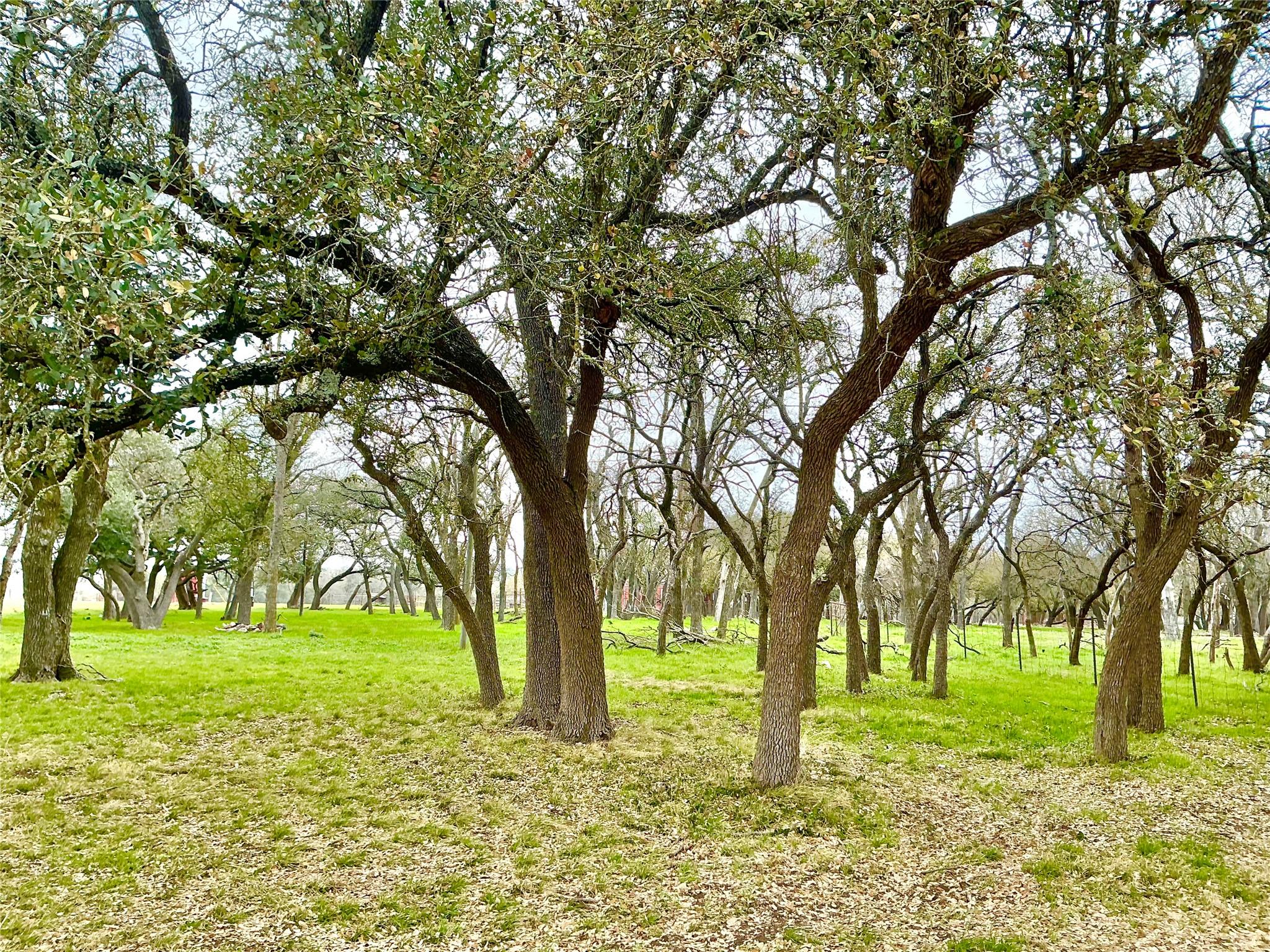 2501 County Road 228 Rd, Florence, TX 76527