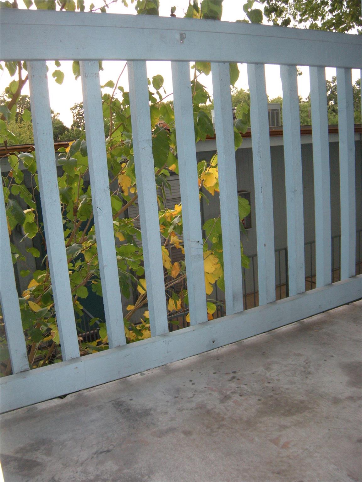 303 W 35th St # 203, Austin, TX 78705