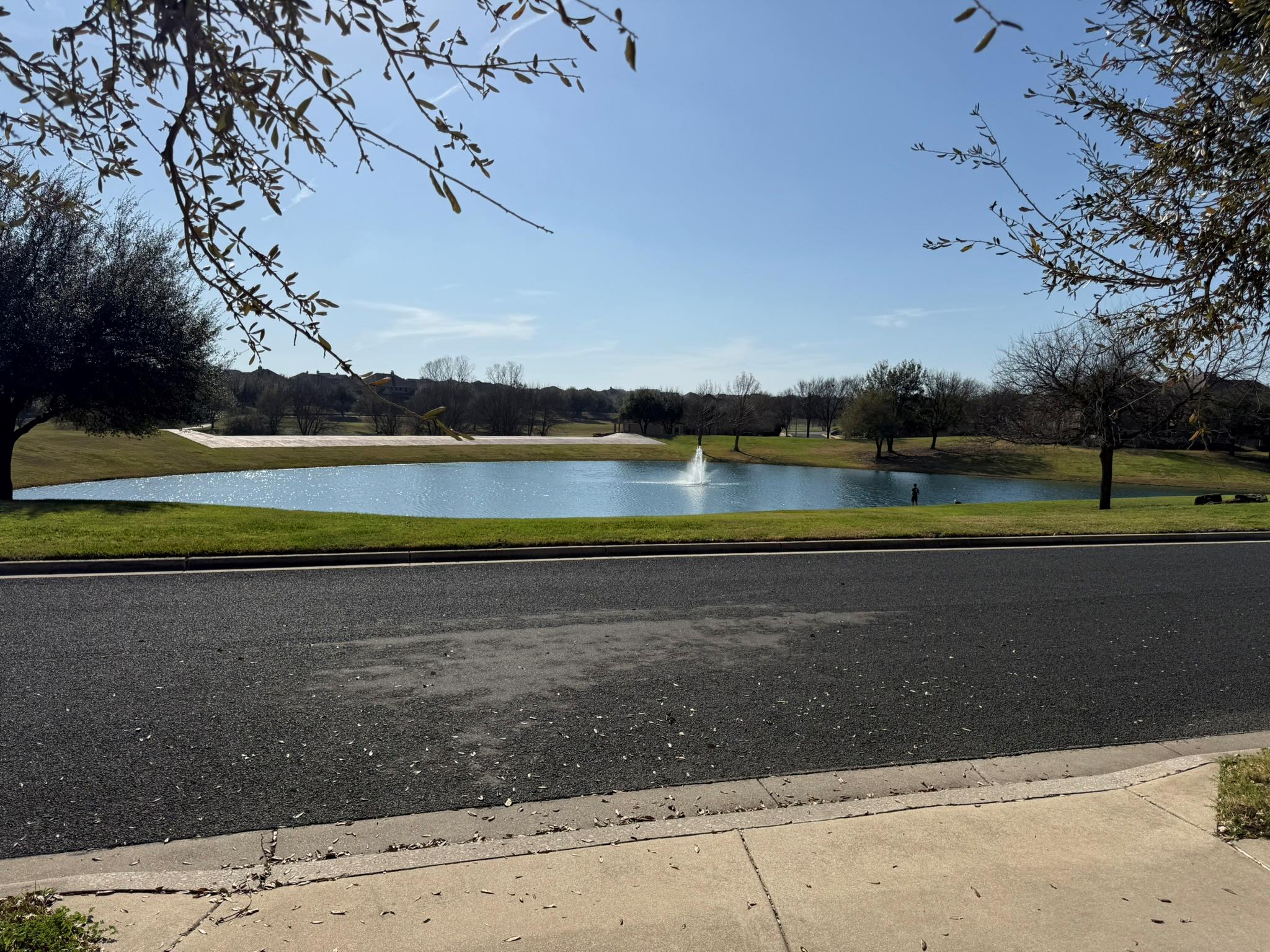 4387 Green Tree Dr, Round Rock, TX 78665