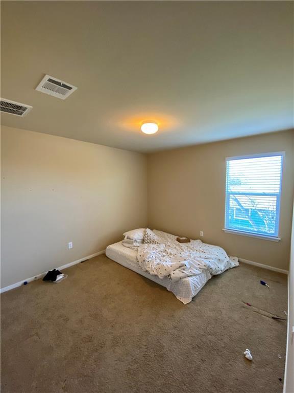 241 Coleto Creek Loop, Kyle, TX 78640