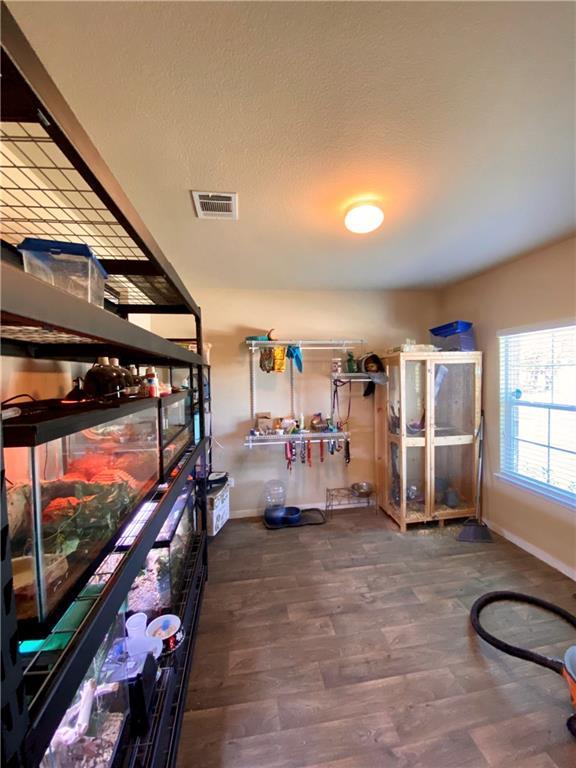 241 Coleto Creek Loop, Kyle, TX 78640