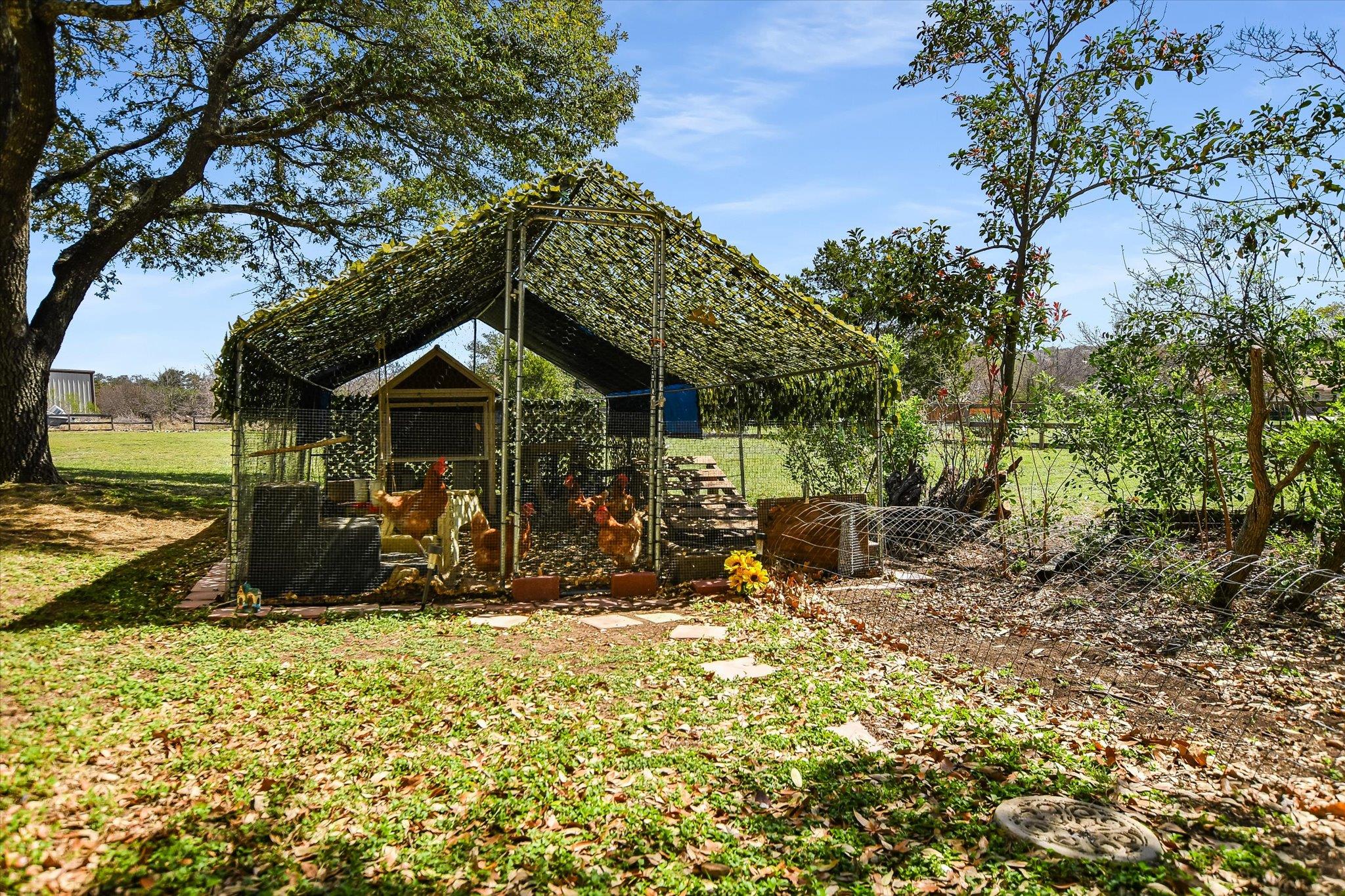 1603 Pin Oak Ln, Round Rock, TX 78681