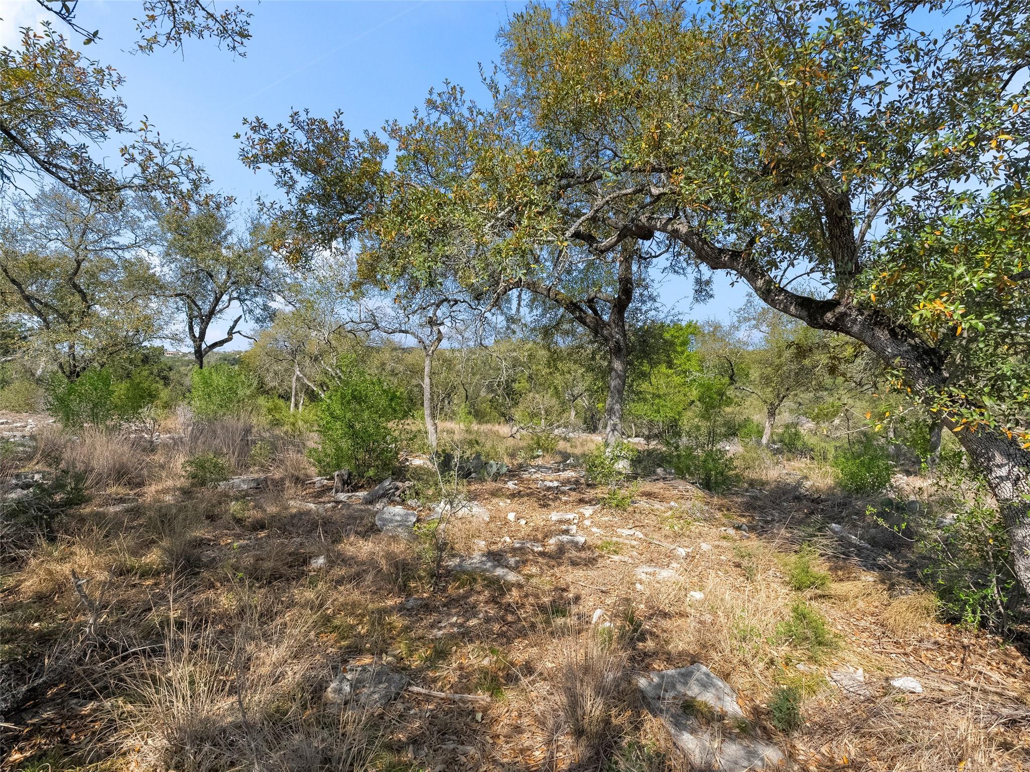 New Braunfels, TX 78132