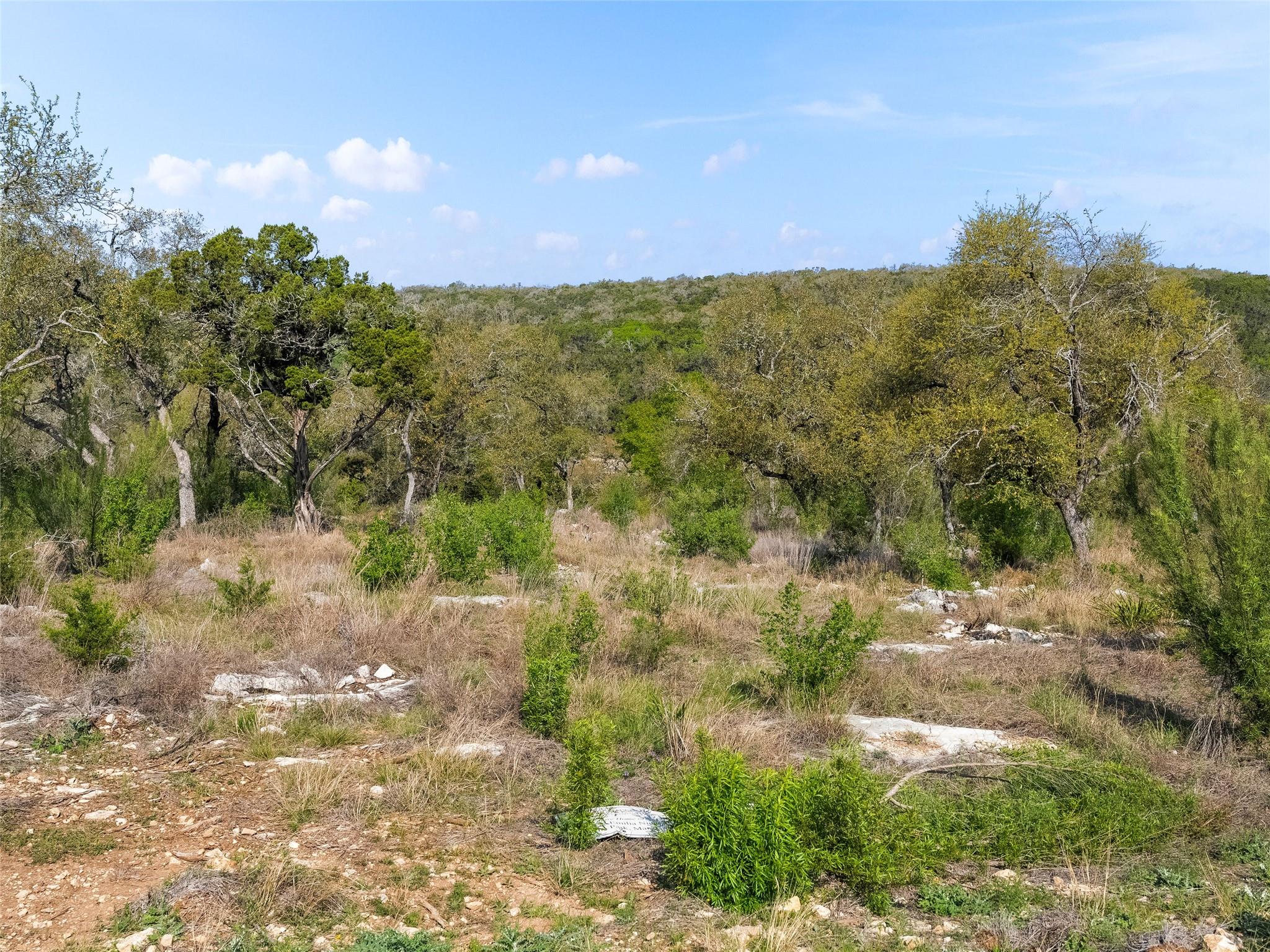 New Braunfels, TX 78132