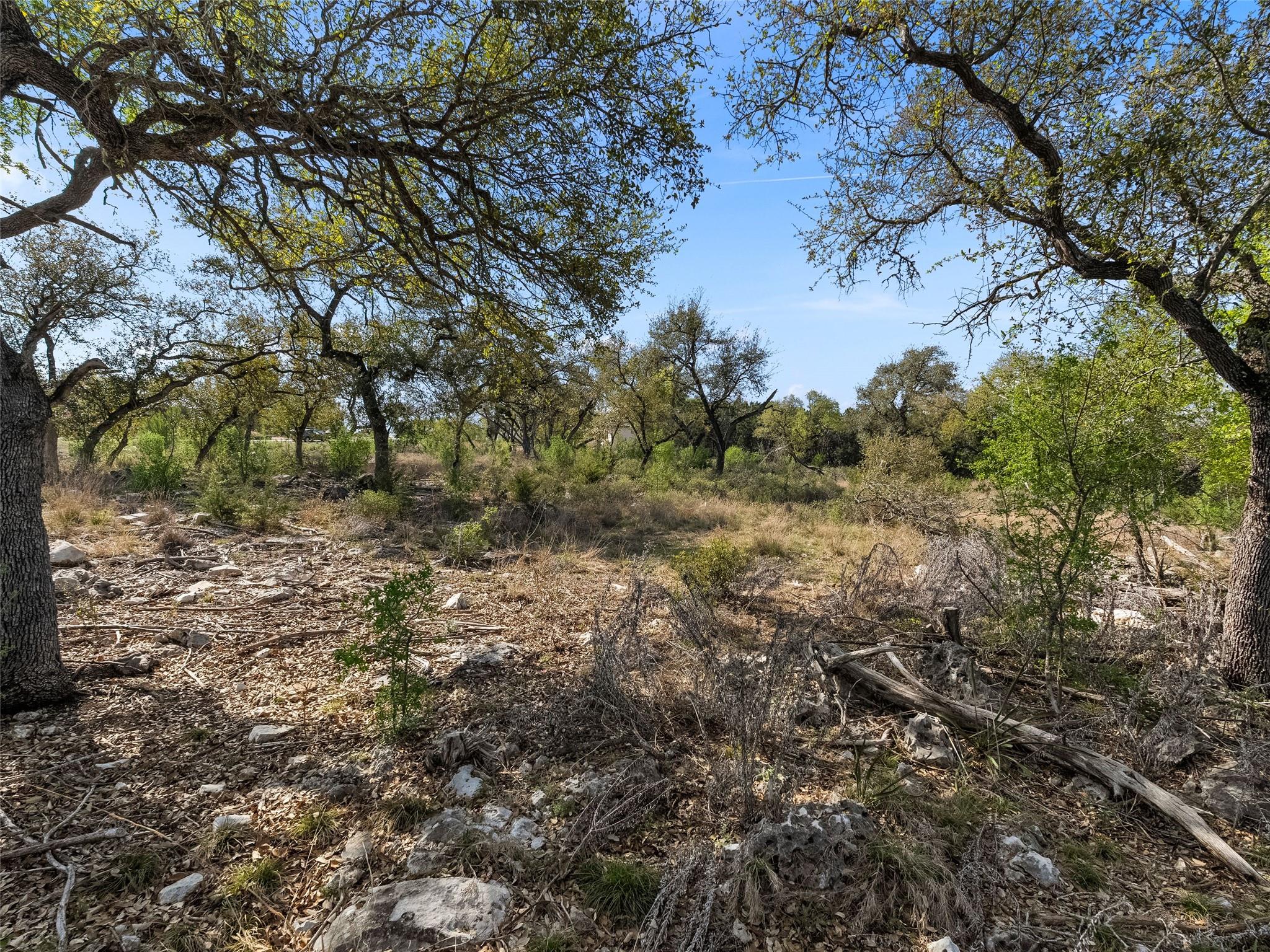 New Braunfels, TX 78132