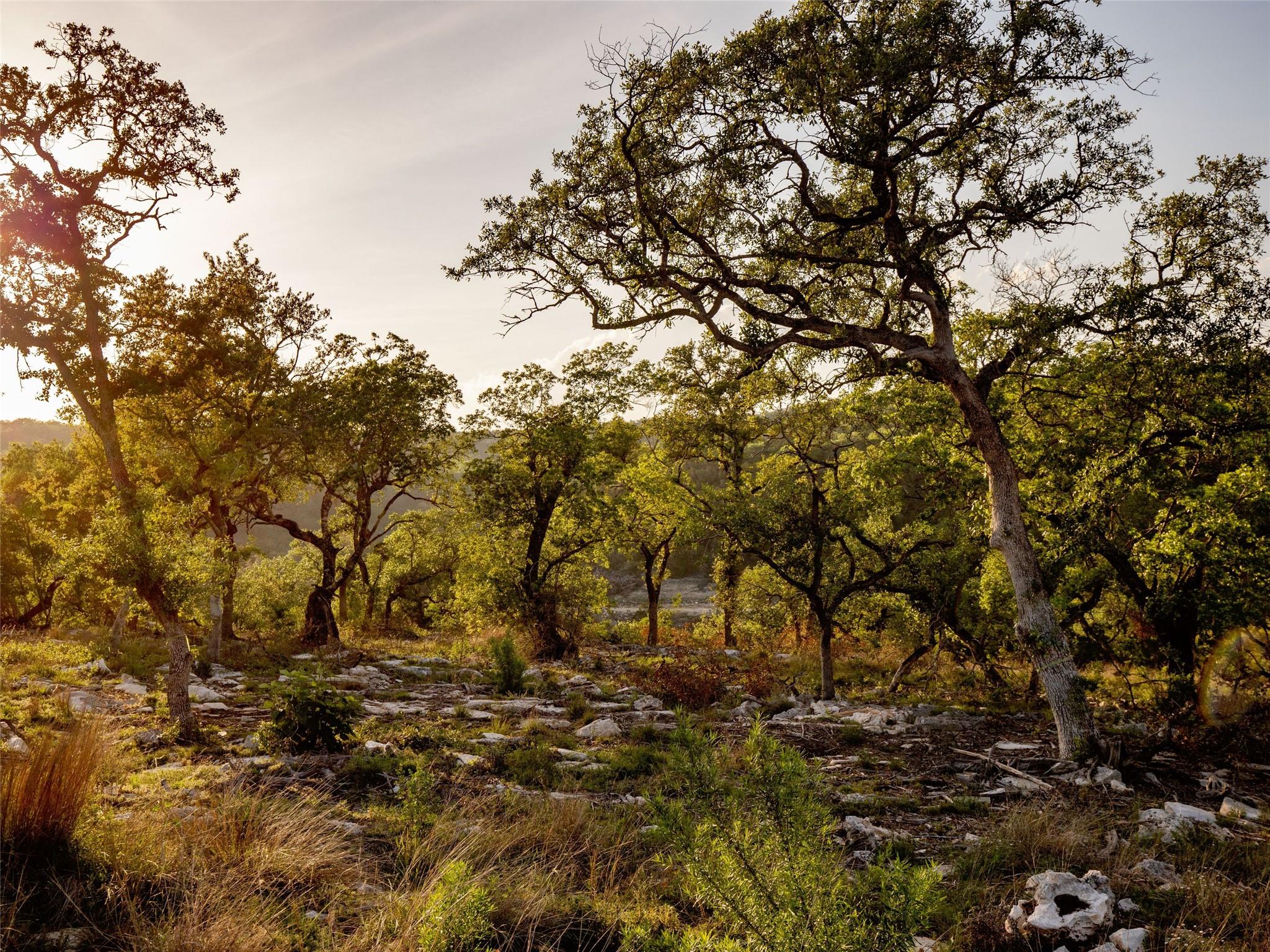 New Braunfels, TX 78132