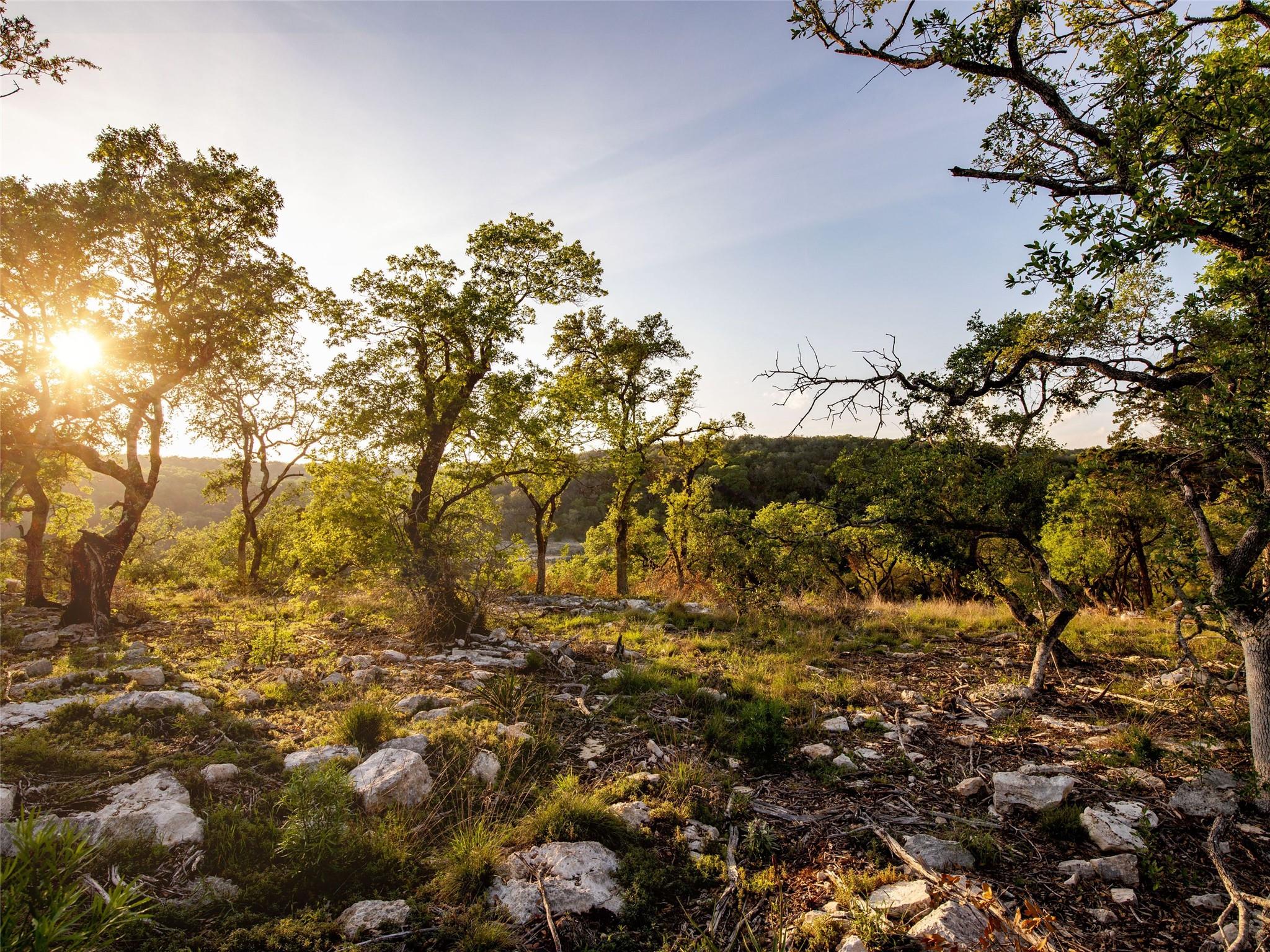 New Braunfels, TX 78132