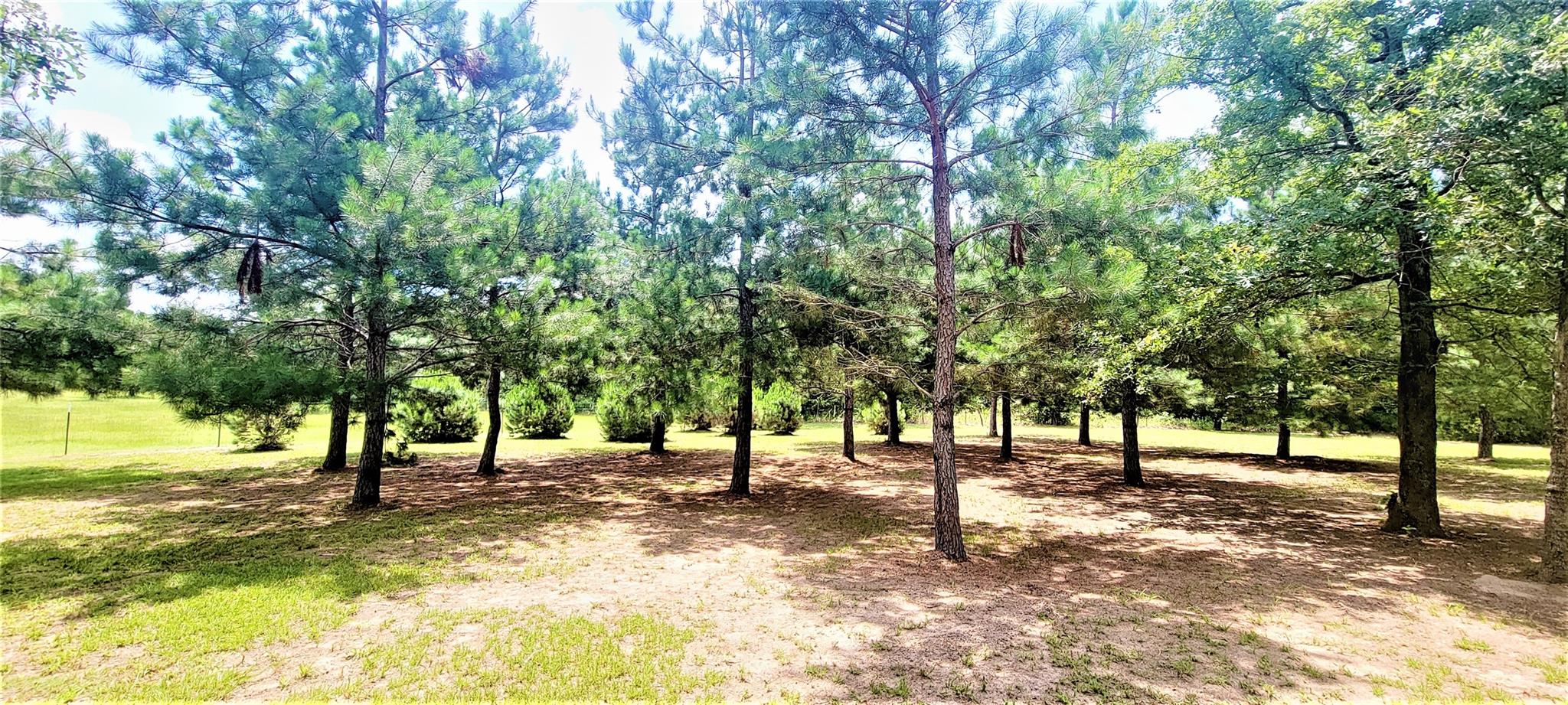 3321 County Road 457, Thorndale, TX 76577