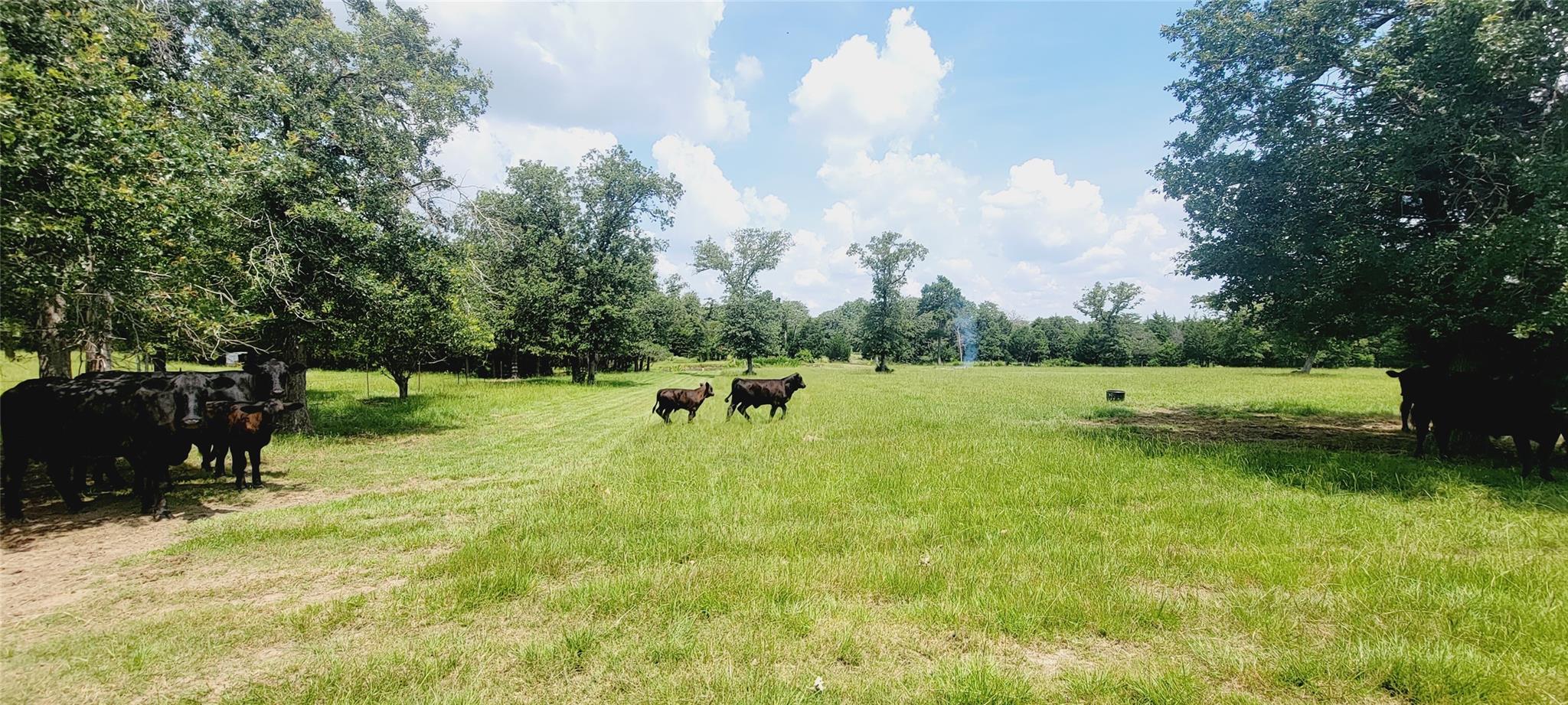 3321 County Road 457, Thorndale, TX 76577