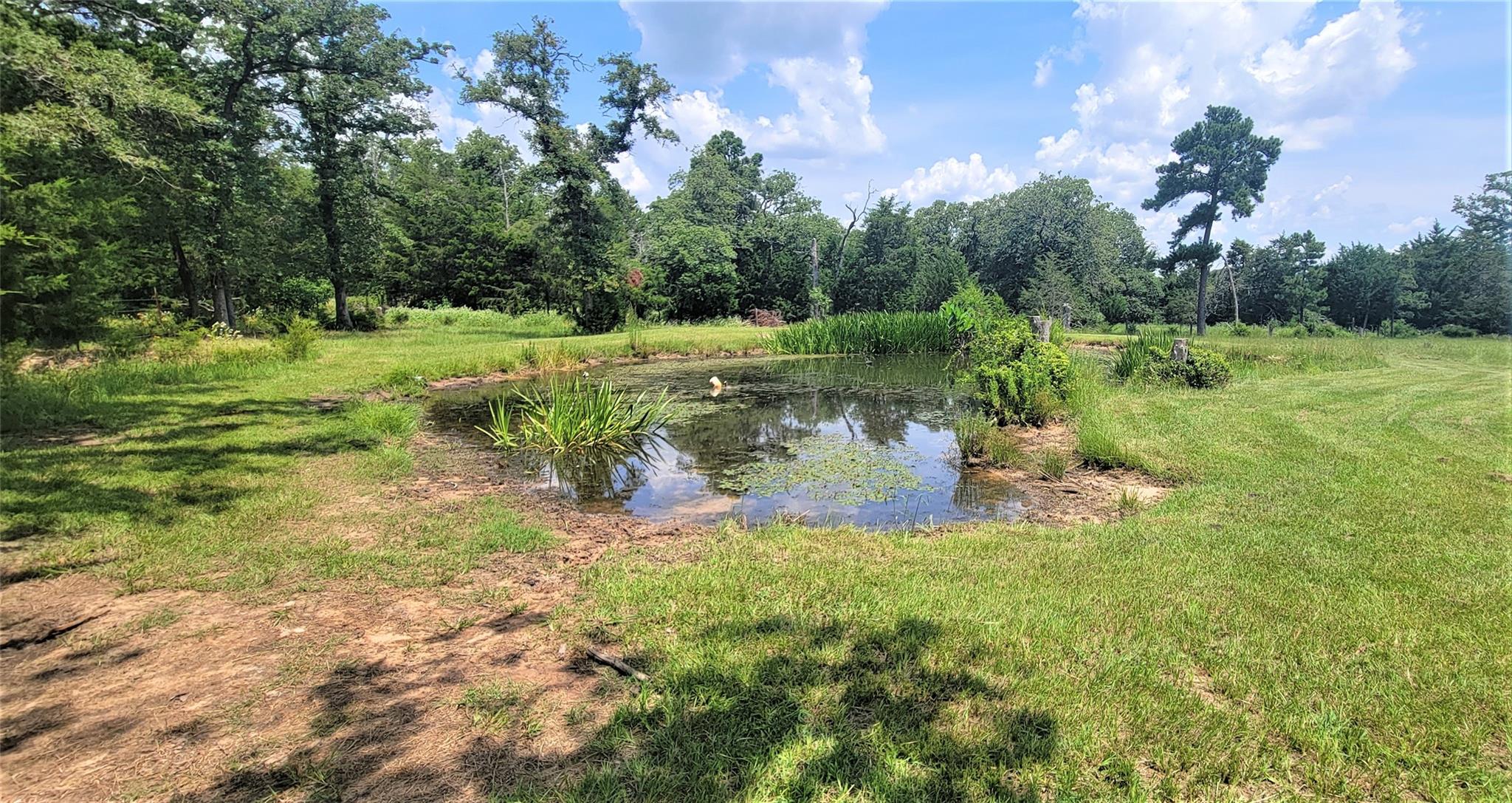 3321 County Road 457, Thorndale, TX 76577