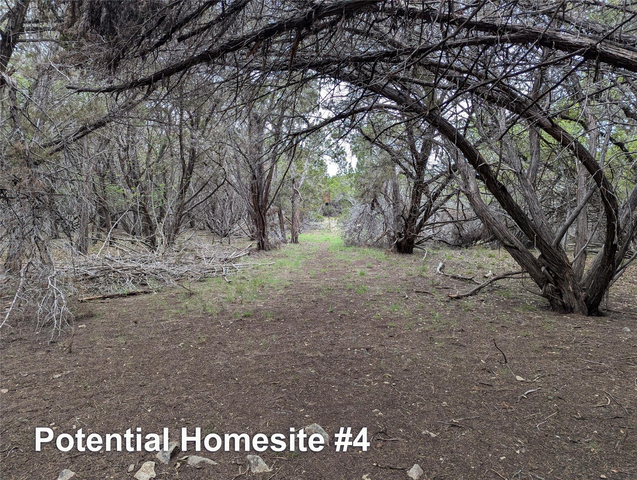 701 Plant Lady Ln, Dripping Springs, TX 78620