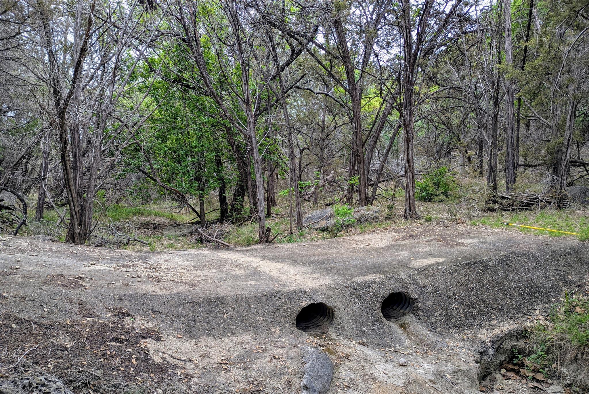 701 Plant Lady Ln, Dripping Springs, TX 78620