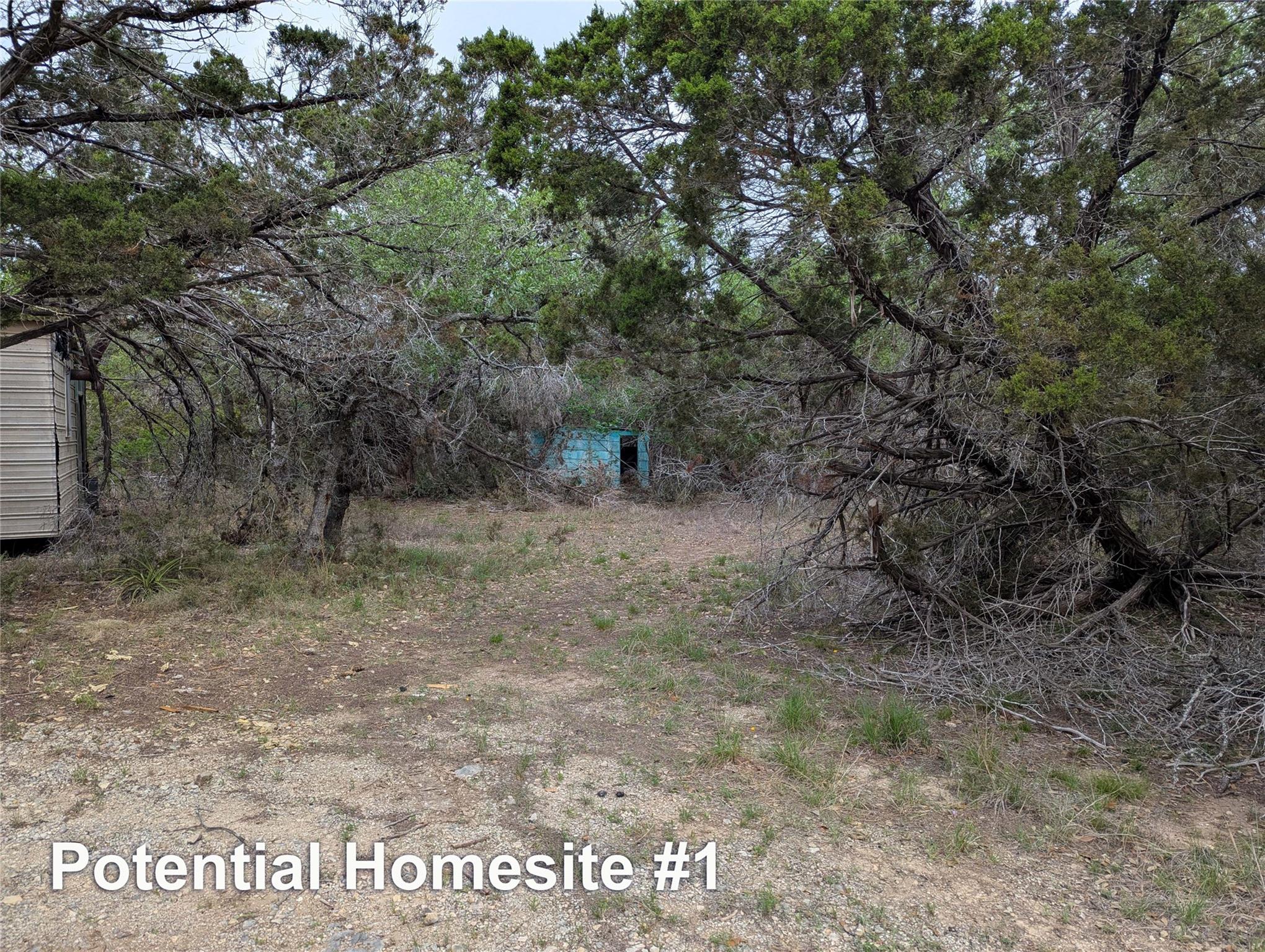 701 Plant Lady Ln, Dripping Springs, TX 78620