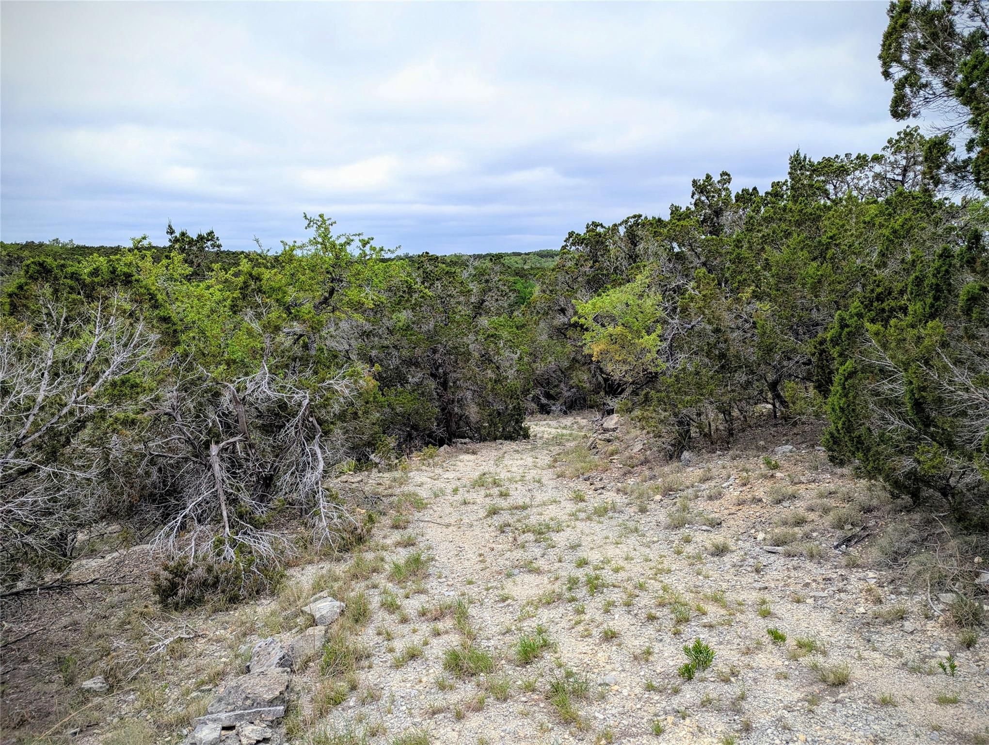 701 Plant Lady Ln, Dripping Springs, TX 78620