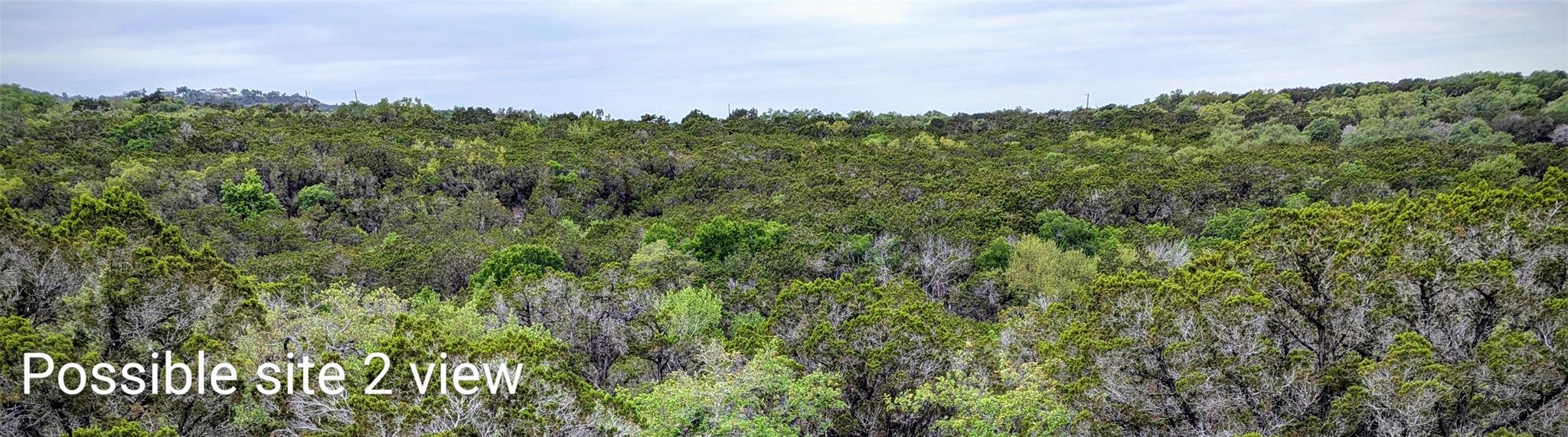 701 Plant Lady Ln, Dripping Springs, TX 78620