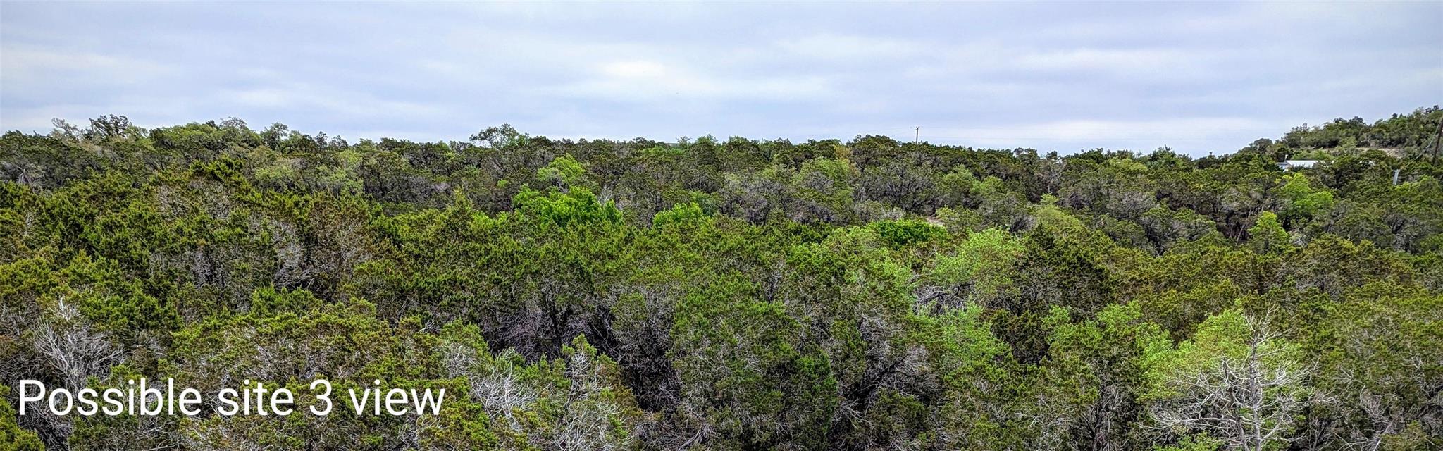 701 Plant Lady Ln, Dripping Springs, TX 78620