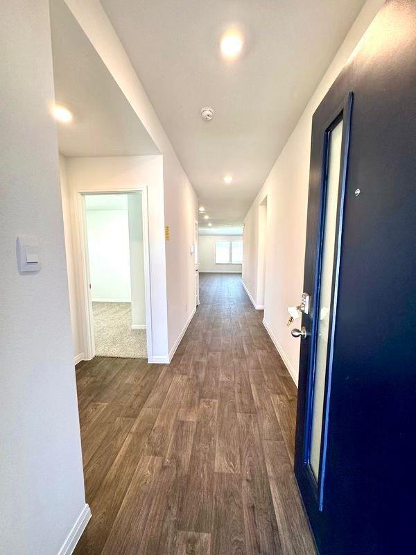 346 Gladiola Loop, Kyle, TX 78640