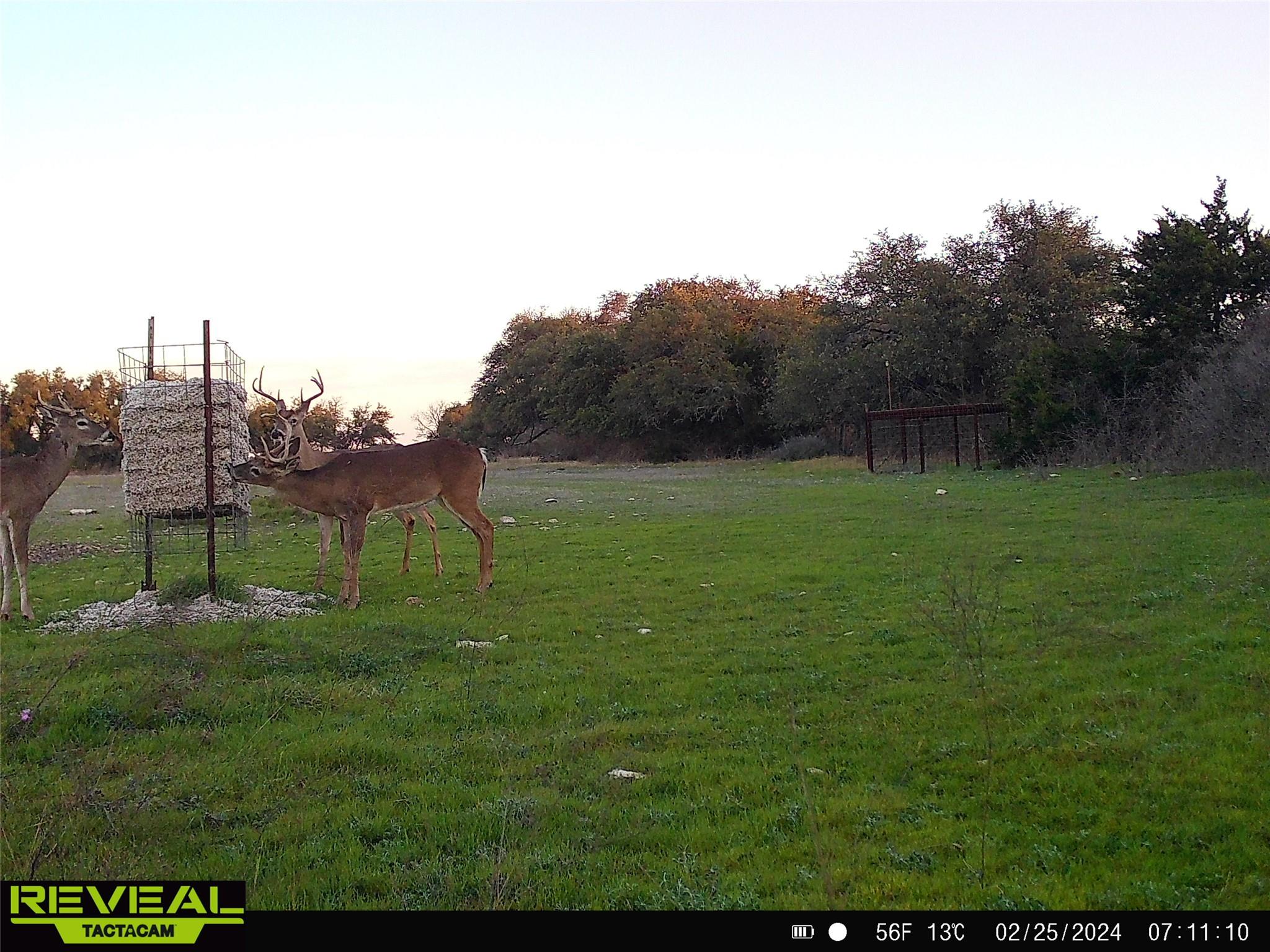 000 C.R,316, Walburg, TX 78626